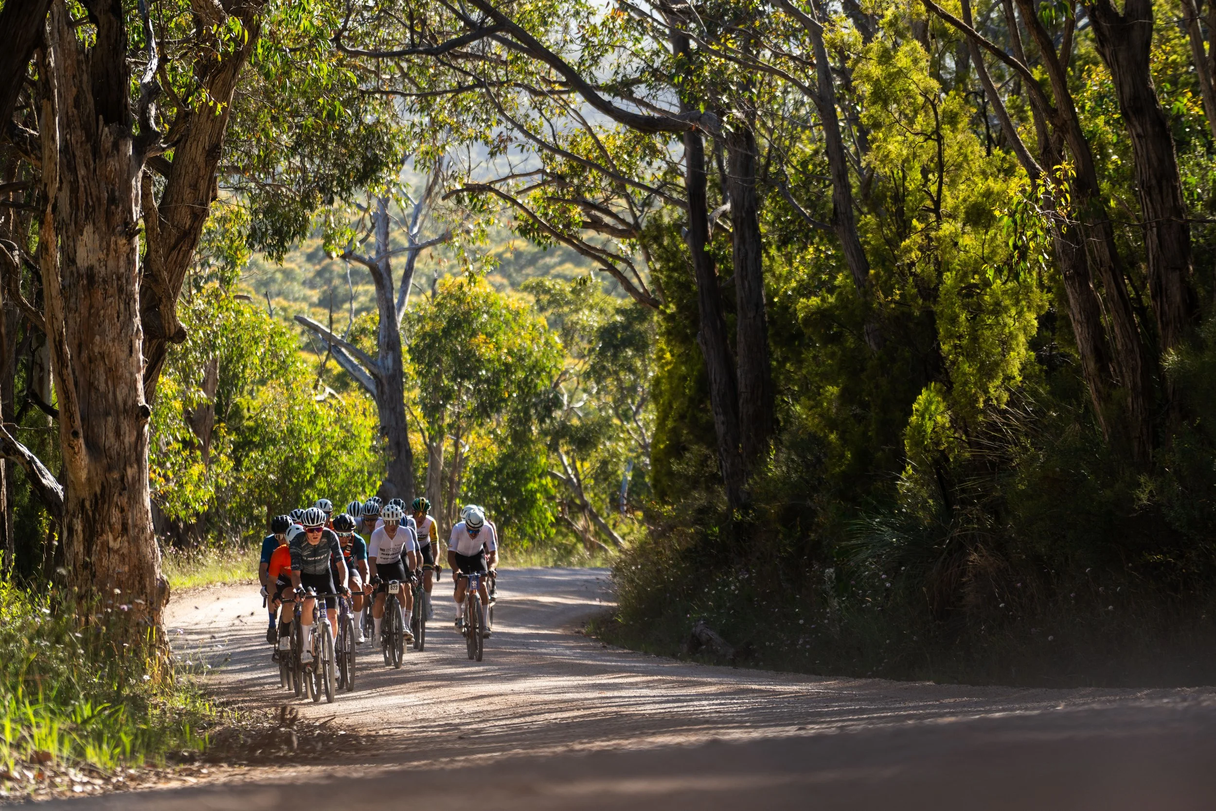 Adelaide gravel cycling