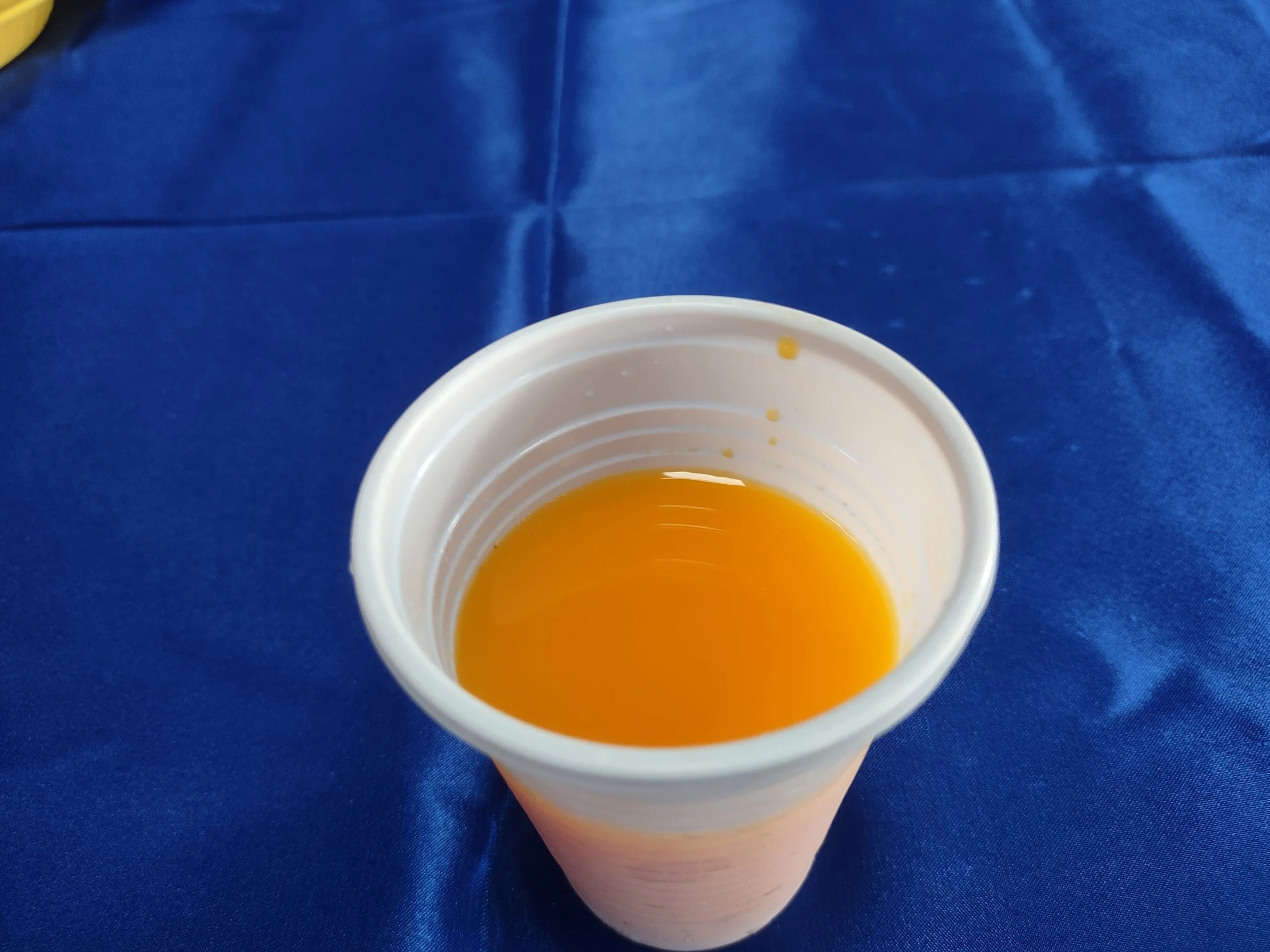 IMG_20241018_164825041.jpg