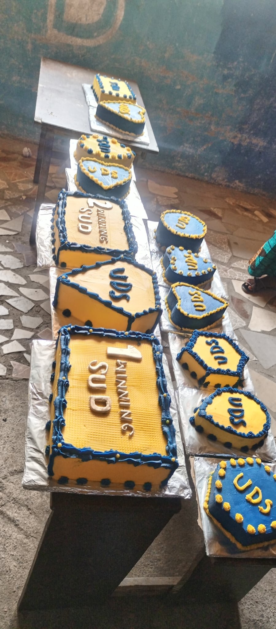 Cake Rally 5 03-07-25 All Cakes.jpeg