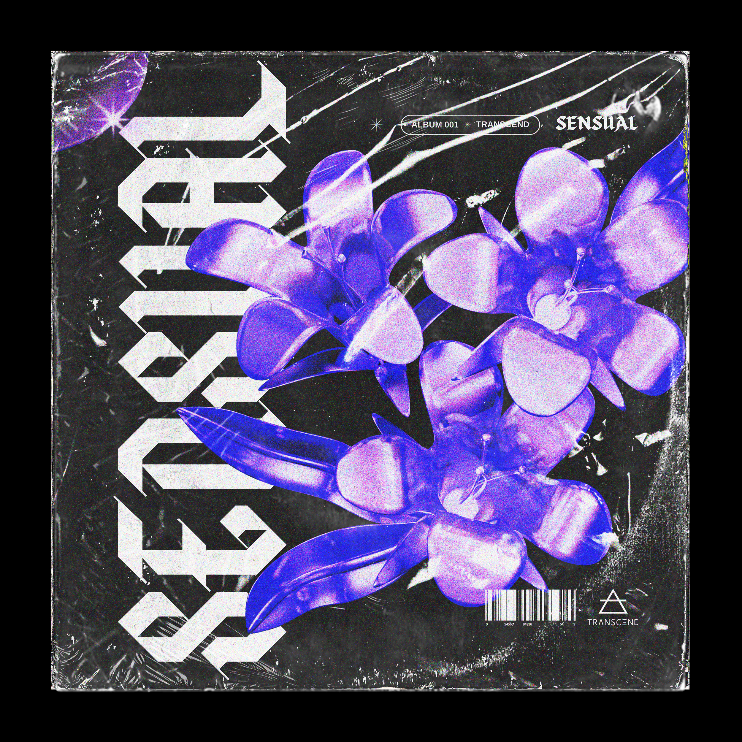 Untitled-18.png