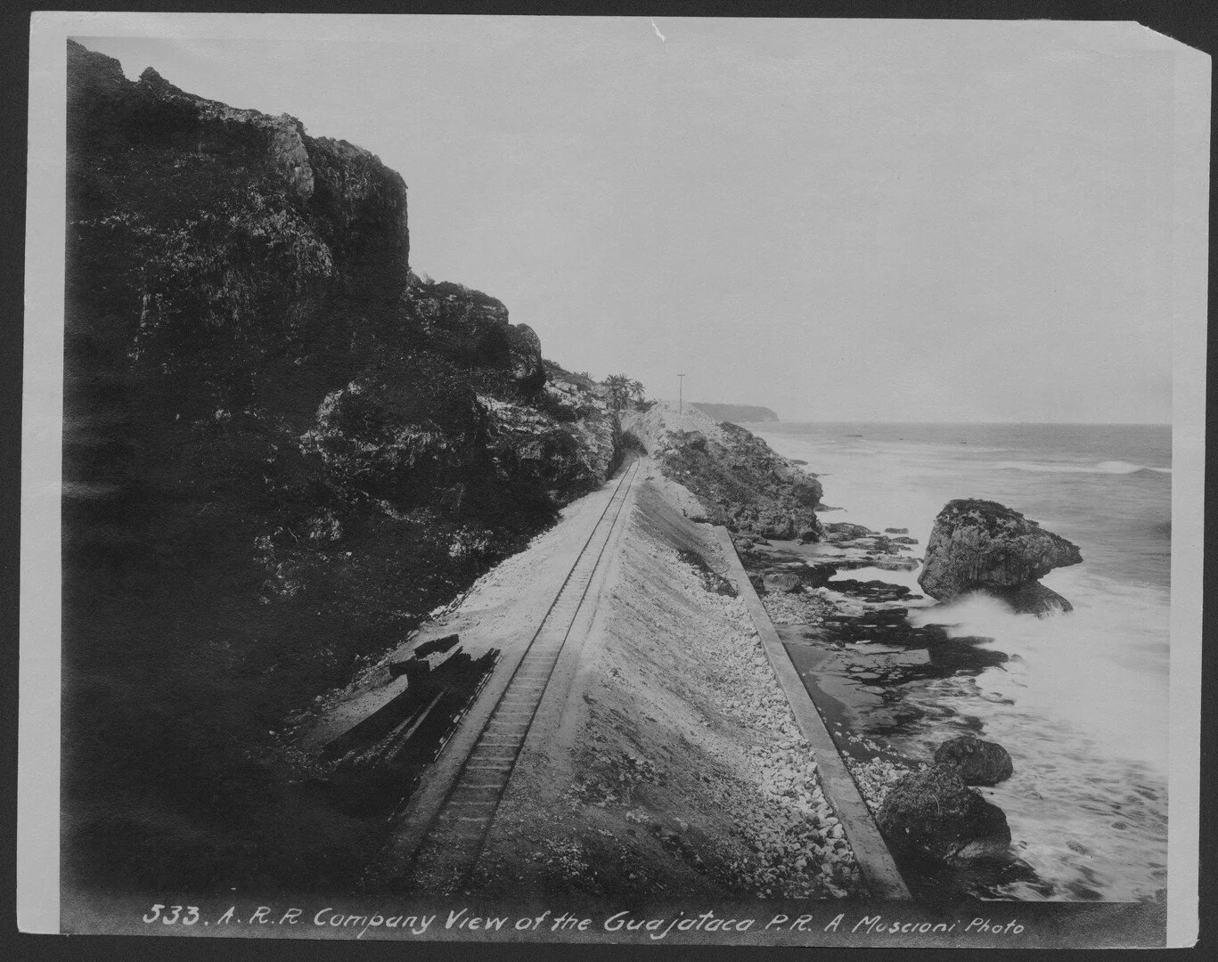 IMG_7292 - Bryan Ferrer.jpeg