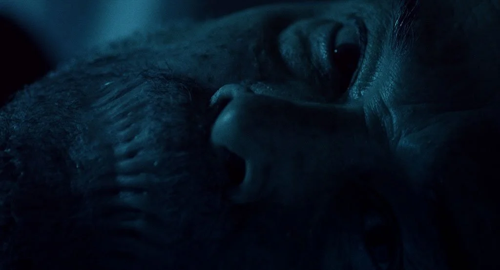 STILL-8.jpg