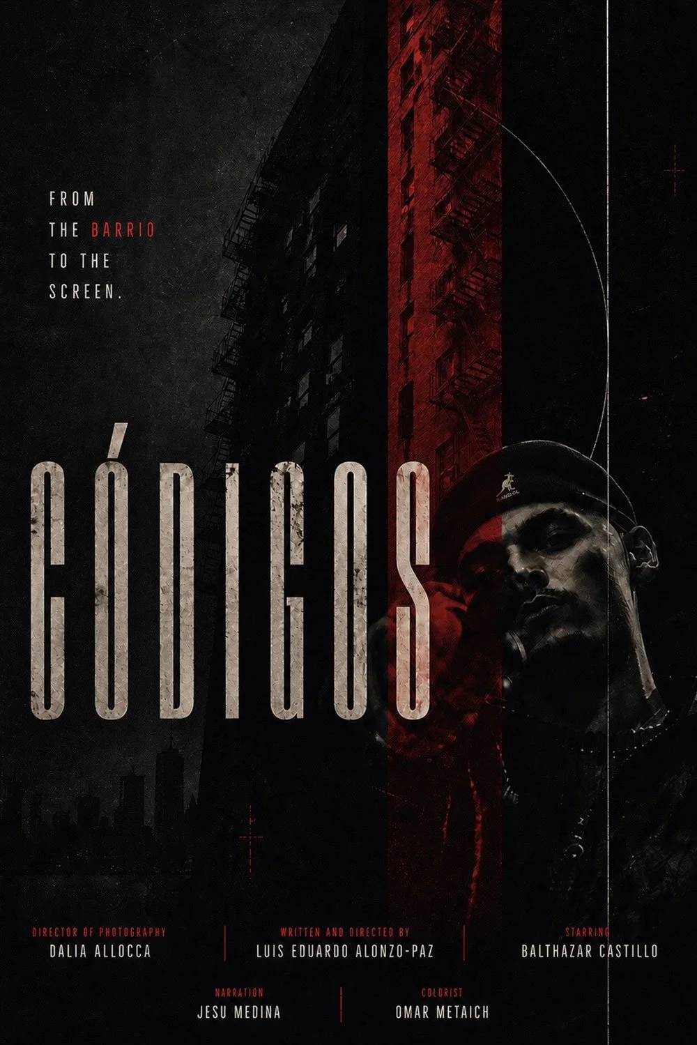 CODIGOS_LuisEduardo_poster---Luis-Eduardo-Alonzo-Paz.jpg