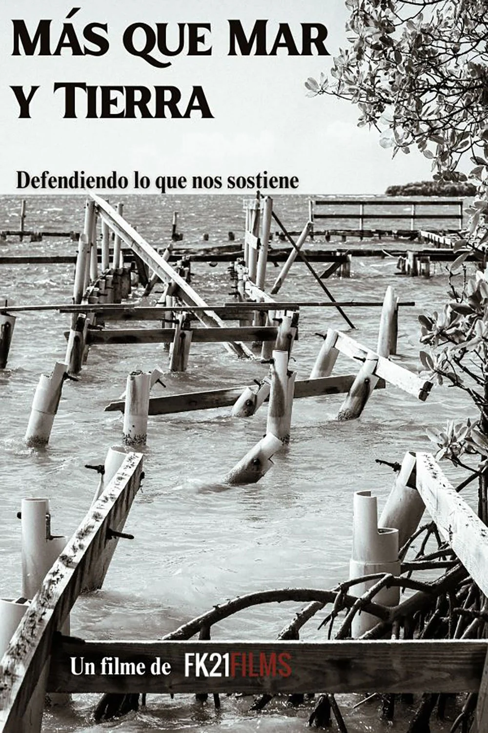 Mas-que-mar-y-Tierra--Poster-Oficial----Fabiola-Febre.jpg