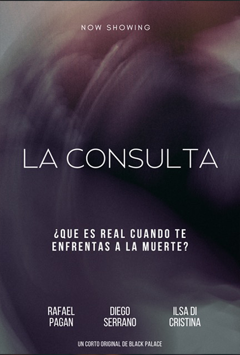 La-Consulta.png