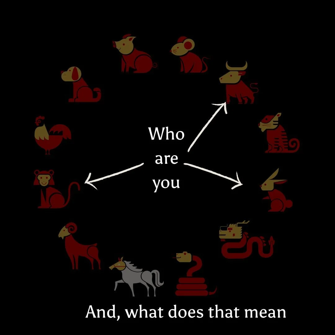 Unlock the Wisdom of Your Chinese Astrology Chart
Free 30-Minute Mini Reading 

Are you curious about how the ancient wisdom of Chinese Astrology can help you live with more flow, confidence, and clarity?

This information was profound learning for m