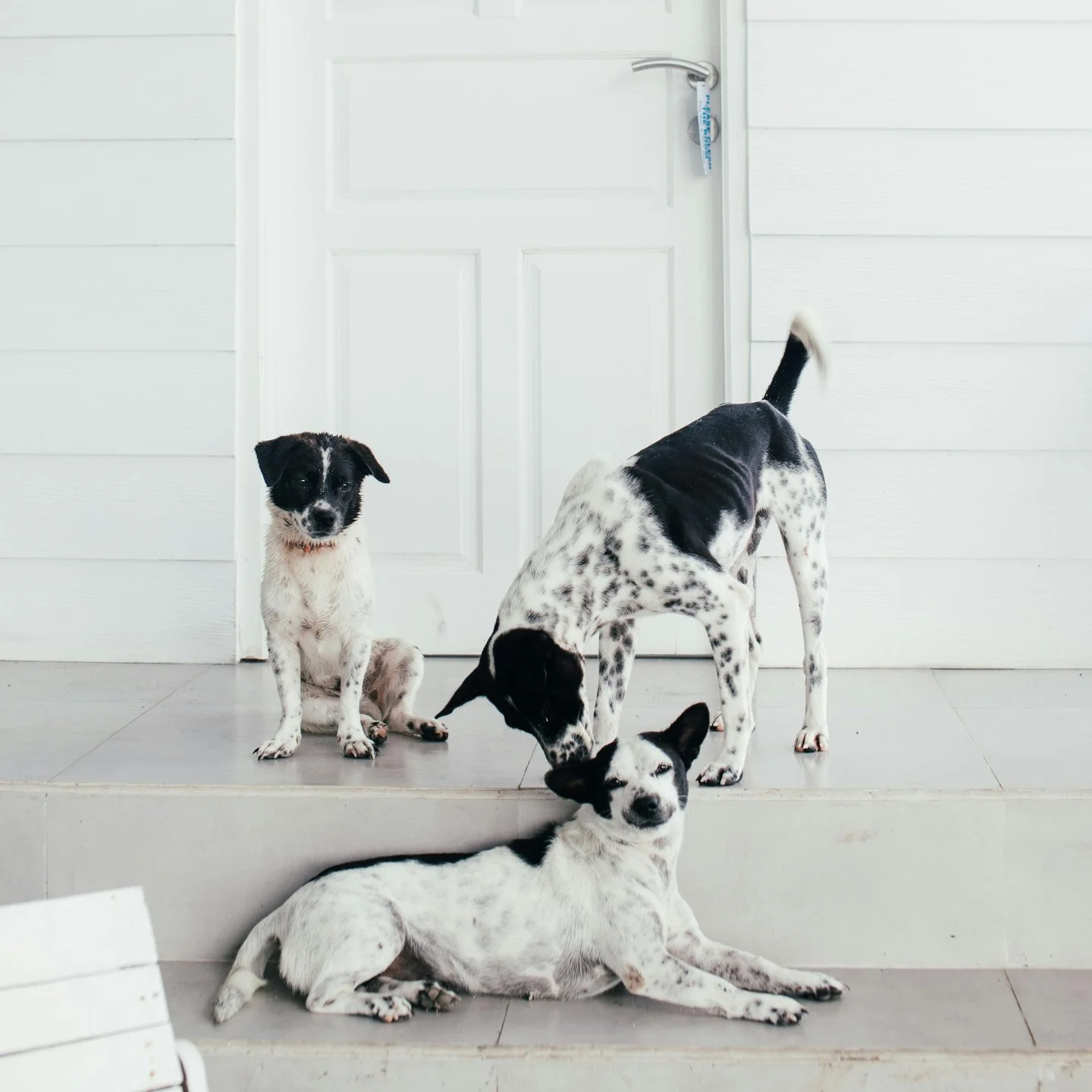 I have a question for you ...

 Have you ever feng shui&rsquo;d your home?

&bull; If yes &mdash; what motivated you to do it?

 &bull; If no &mdash; what&rsquo;s stopped you?

I&rsquo;m genuinely curious to know to help inform future content.