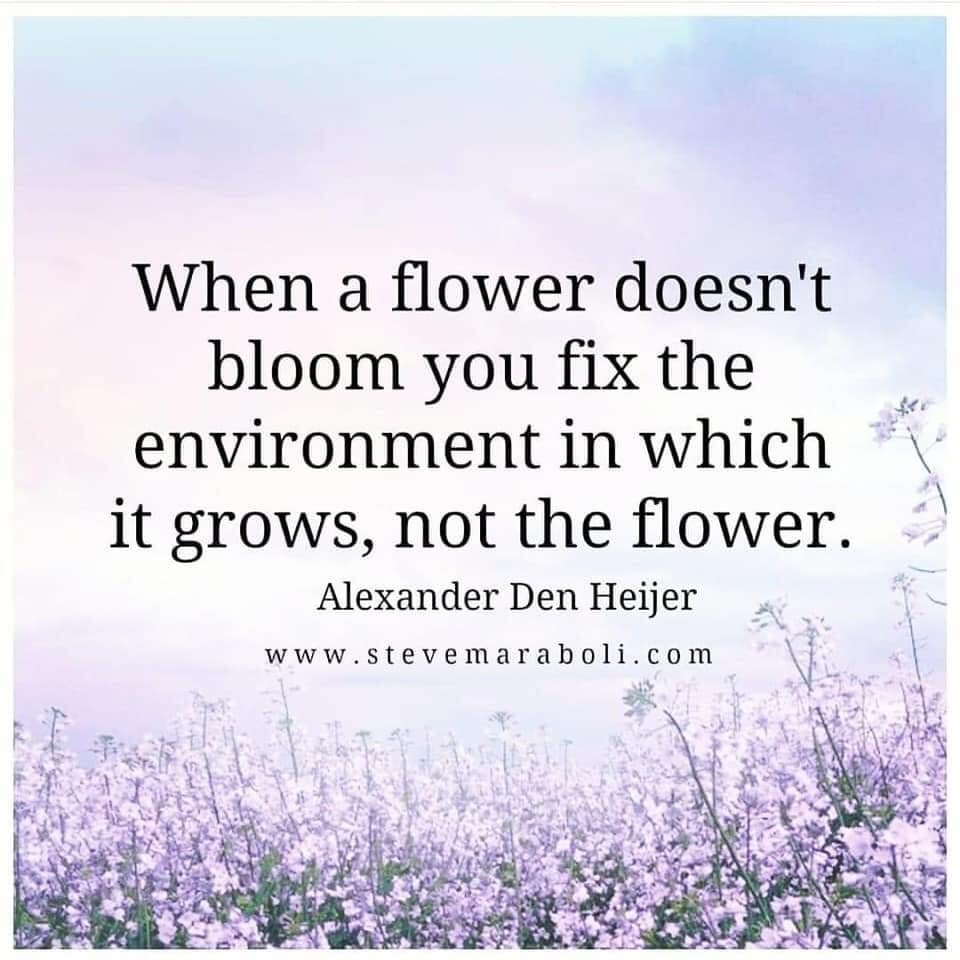 It is important to stay tuned to the changing dynamics of the chi in your home​, your life &amp; the globe. 

Big and fast-moving stuff is all around us now. 
It is worth staying in touch with it so it can support you &amp; your goals..