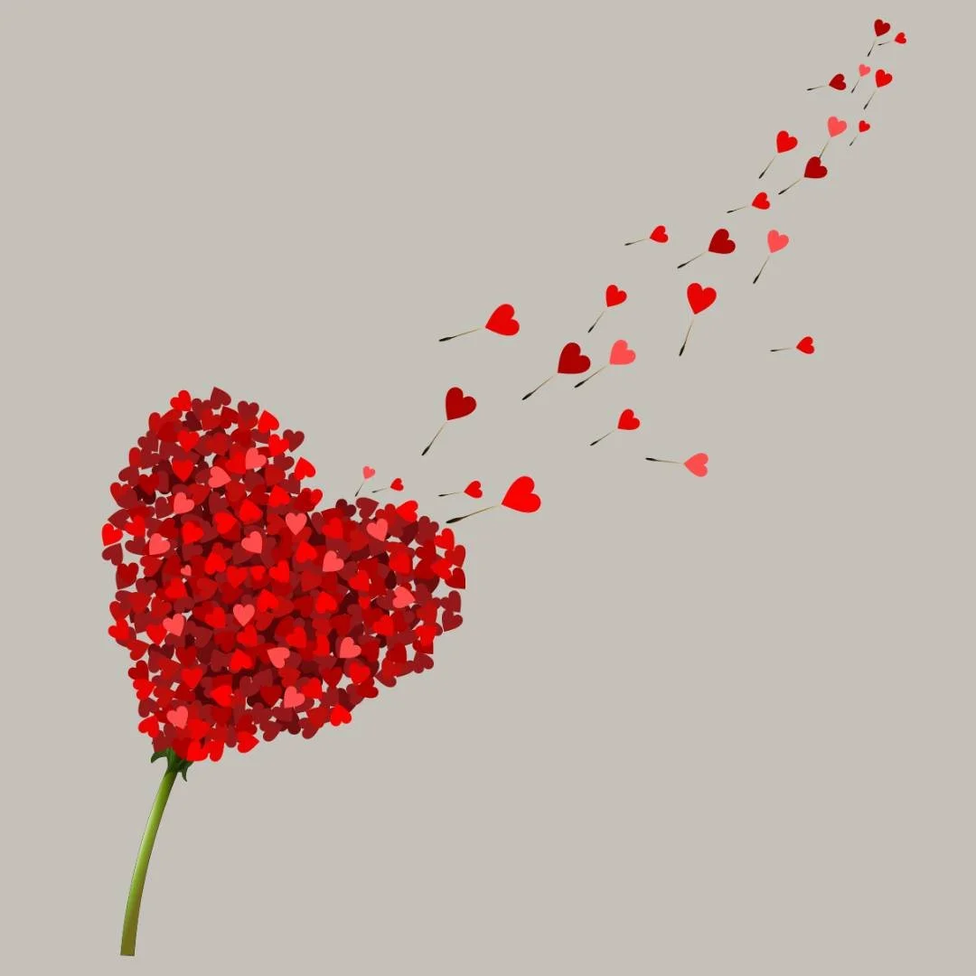 Are you LOOKING for love?
Or wanting to invite MORE LOVE into your life?

My Valentine&rsquo;s Feng Shui Package (available throughout February) is a beautiful way to gently shift the energy in your space &mdash; and your own energy &mdash; in suppor