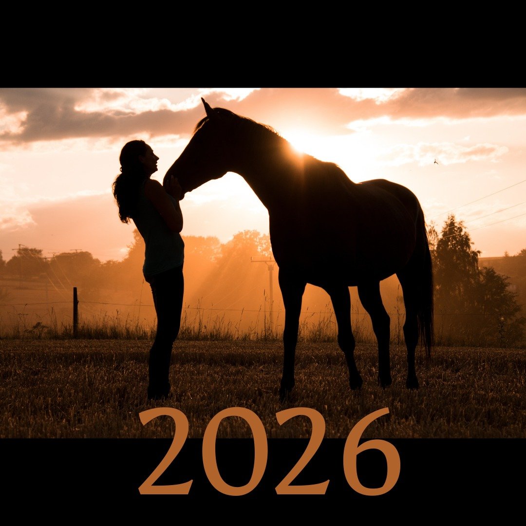 In Chinese astrology, 2026 is the Year of the 𝐅𝐢𝐫𝐞 𝐇𝐨𝐫𝐬𝐞

The 𝐇𝐨𝐫𝐬𝐞 symbolises movement, independence, visibility &amp; forward momentum. 

The 𝐅𝐢𝐫𝐞 element amplifies passion, courage, leadership &amp; expression. 

Together, 𝐅𝐢𝐫