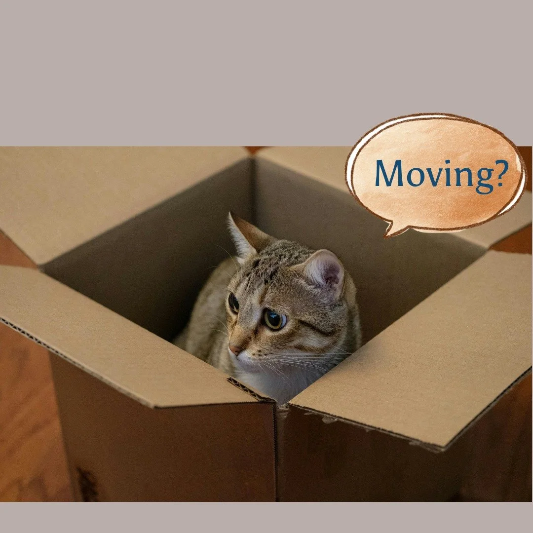 Not without me!

Do you want your new home to truly support your goals and wellbeing?

Or are you selling a home and wish it would attract the right buyer, sooner?

Feng Shui gives you the tools to create balance, flow and harmony in your home, wheth