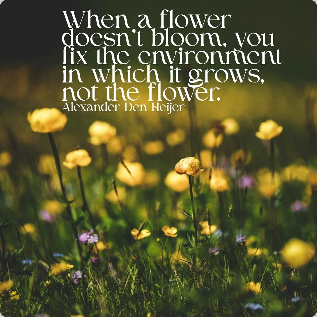 So feng shui &amp; 4 pillars of destiny are all expressed in terms of the 5 elements - you know them - water, wood, fire, earth &amp; metal.

When I do house consults I incorporate 4 pillars information for each occupant so that, with an understandin