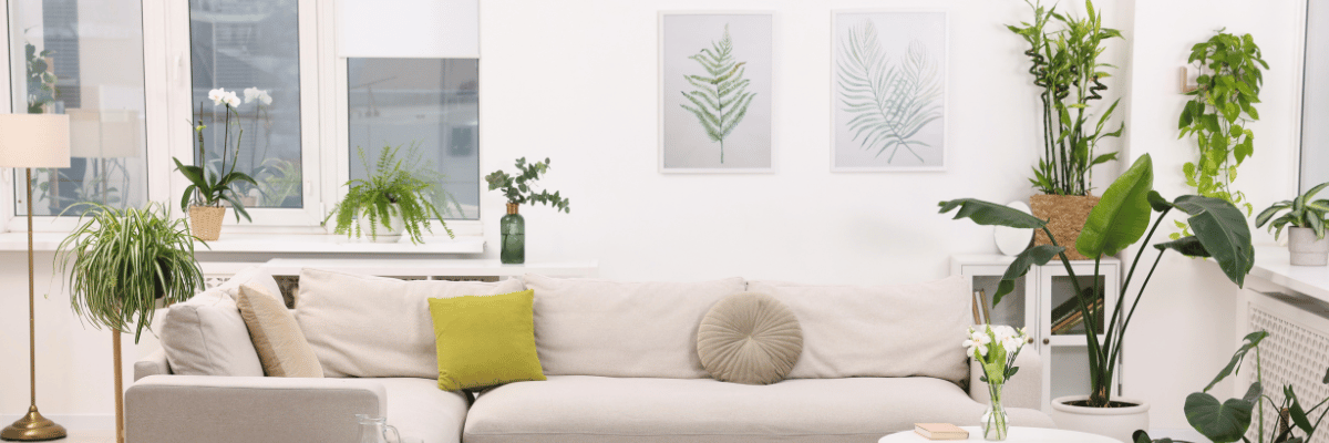 Fran Maunton Feng Shui Fortunes Perth