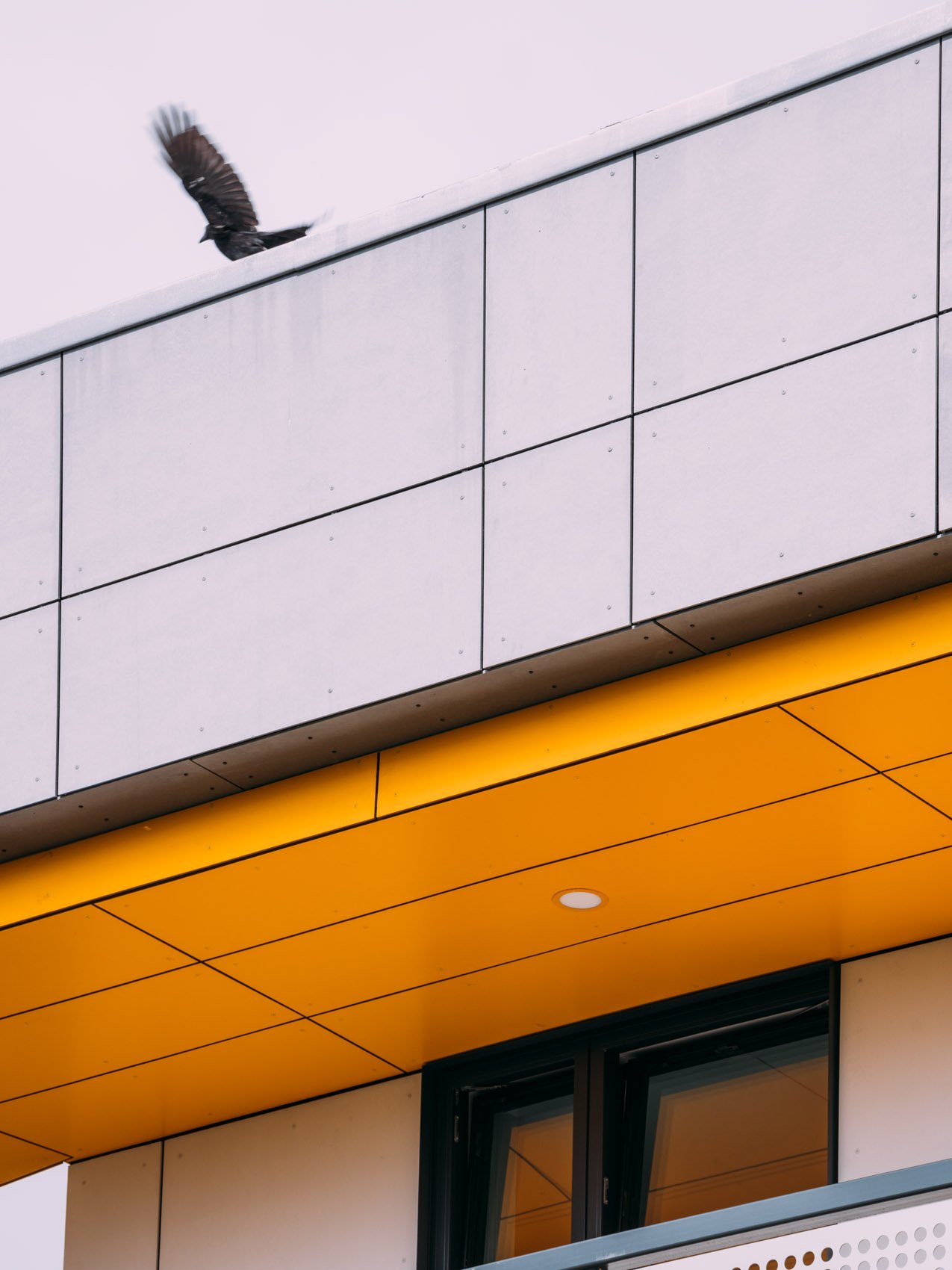 YMCA Thames Gateway. Photo: Joas Souza. Project by RSHP