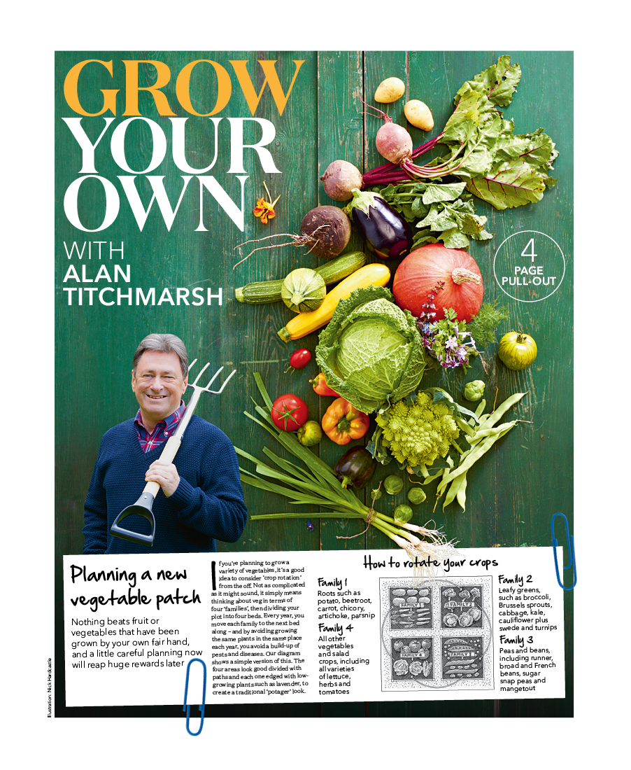 GROW_1.png