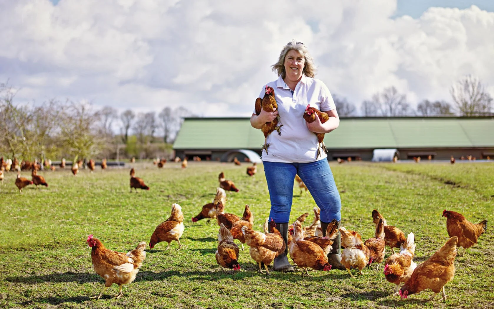 One of Waitrose's award winning hen farms. Wiltshire. Photography by Stephen Hayward, Art Directed by me.