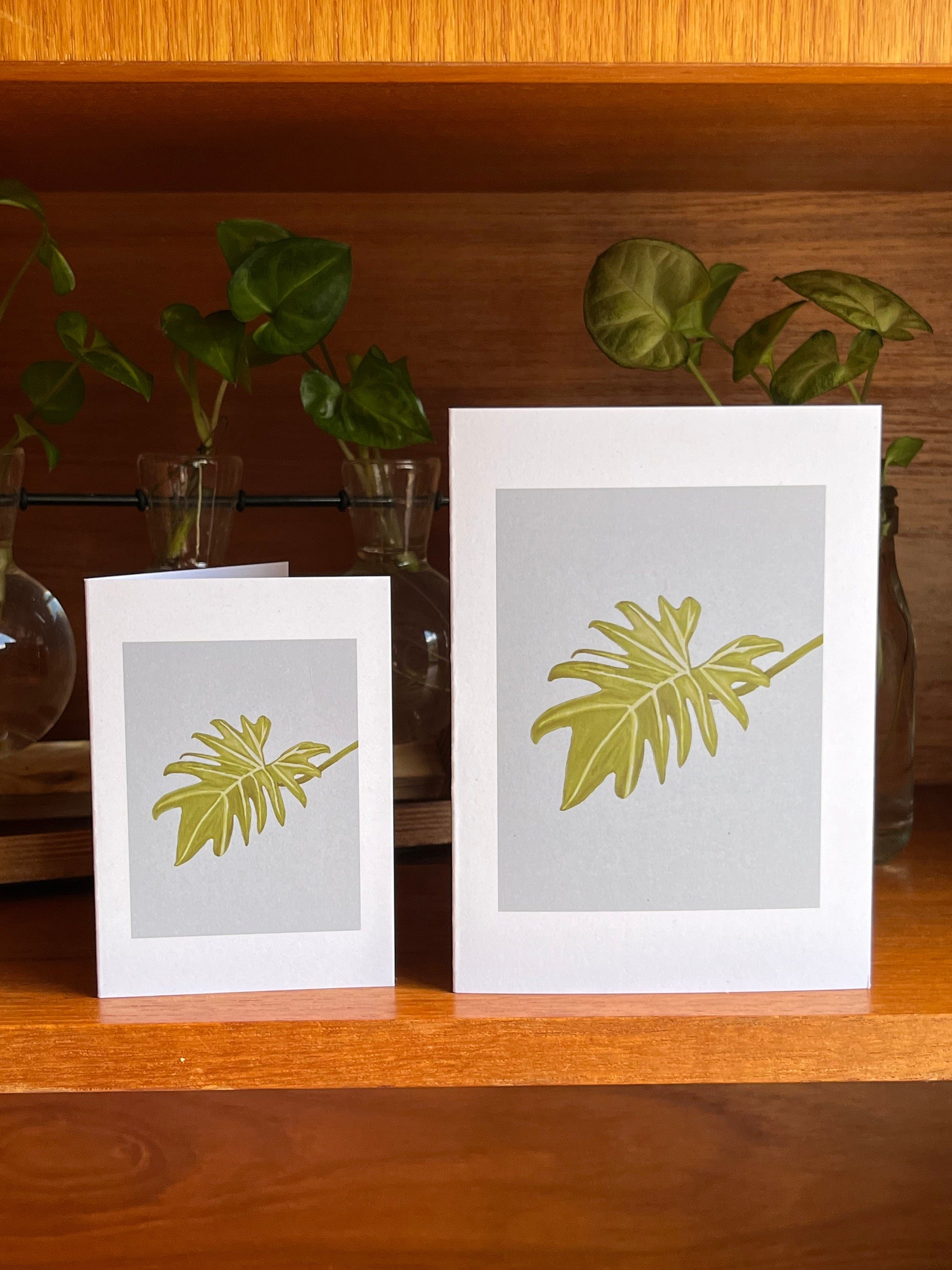 https://i.etsystatic.com/24655146/r/il/350161/4840572100/il_fullxfull.4840572100_rycz.jpg