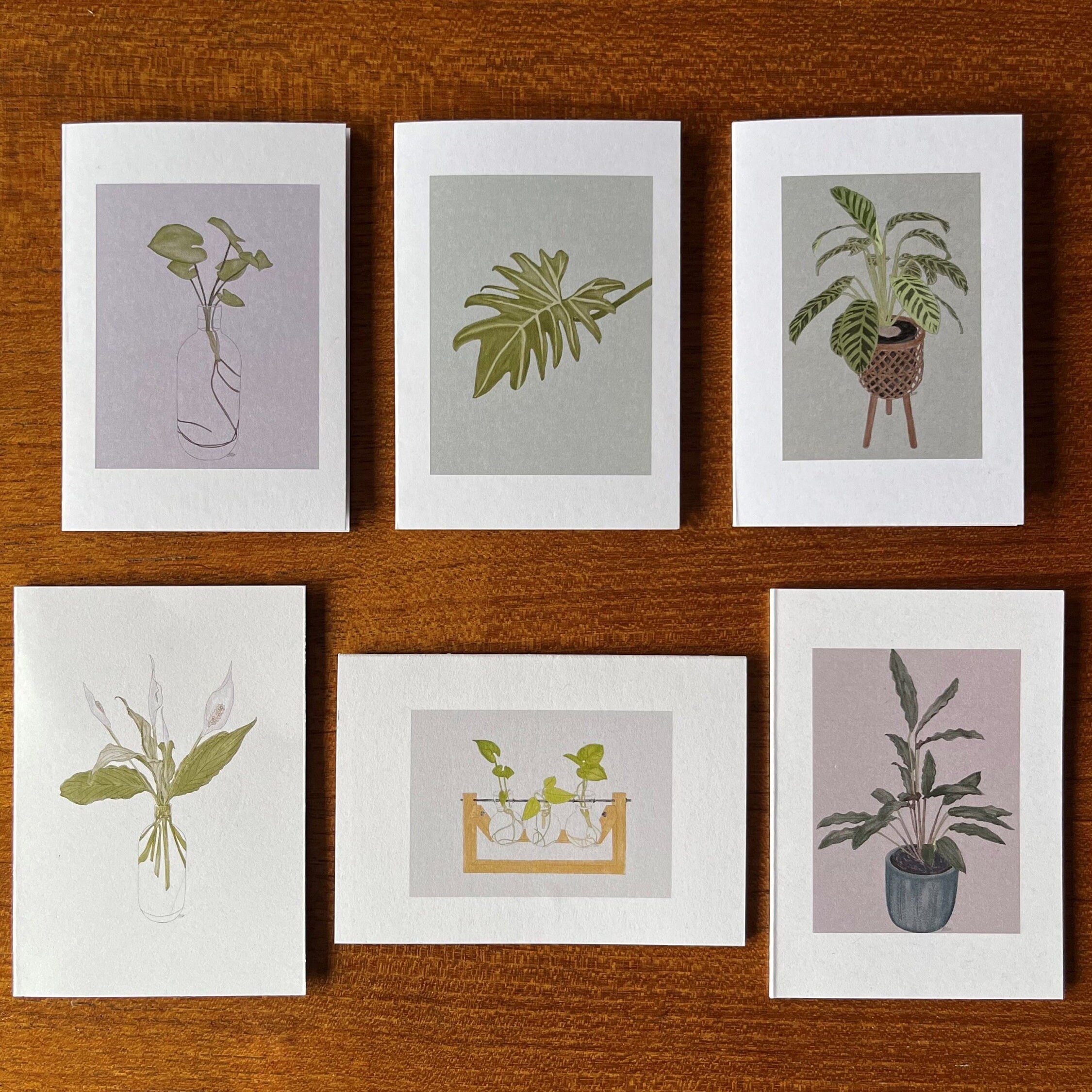 https://i.etsystatic.com/24655146/r/il/59184e/5185384223/il_fullxfull.5185384223_gb8s.jpg