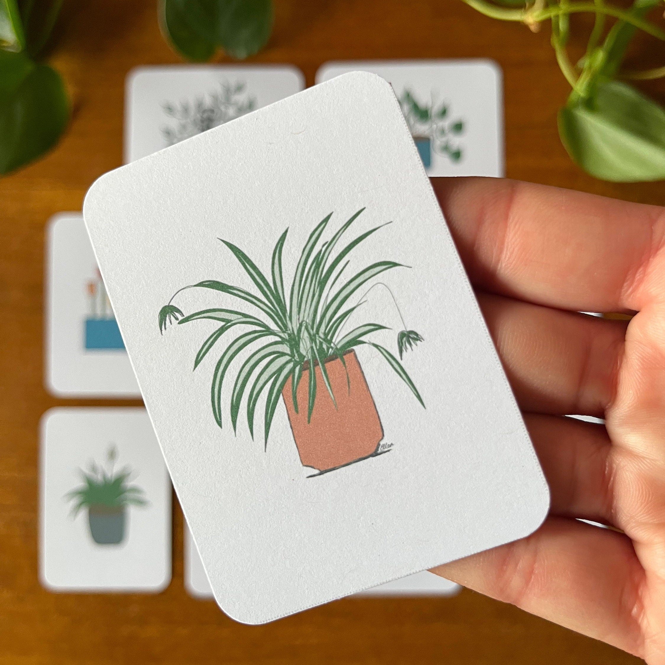 https://i.etsystatic.com/24655146/r/il/6e3fd7/5185245523/il_fullxfull.5185245523_t5b1.jpg