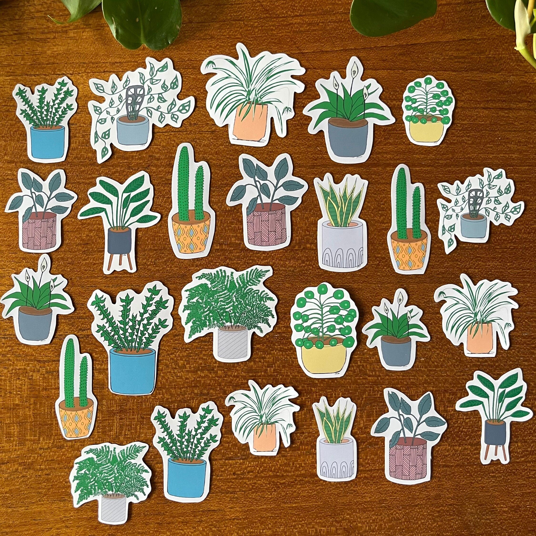 https://i.etsystatic.com/24655146/r/il/96c6bc/5185268625/il_fullxfull.5185268625_c93m.jpg