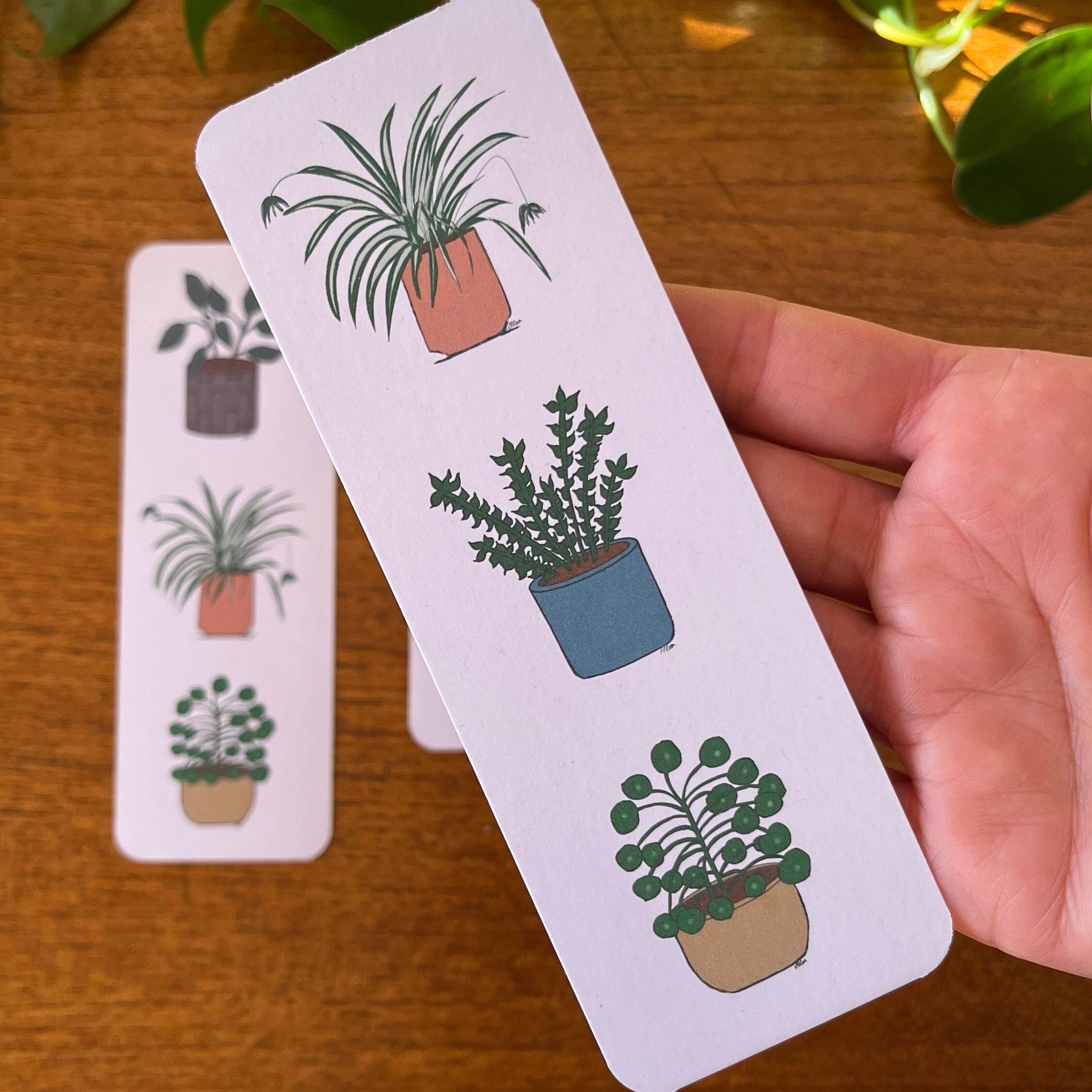 https://i.etsystatic.com/24655146/r/il/f8f19b/5136880682/il_fullxfull.5136880682_sogl.jpg
