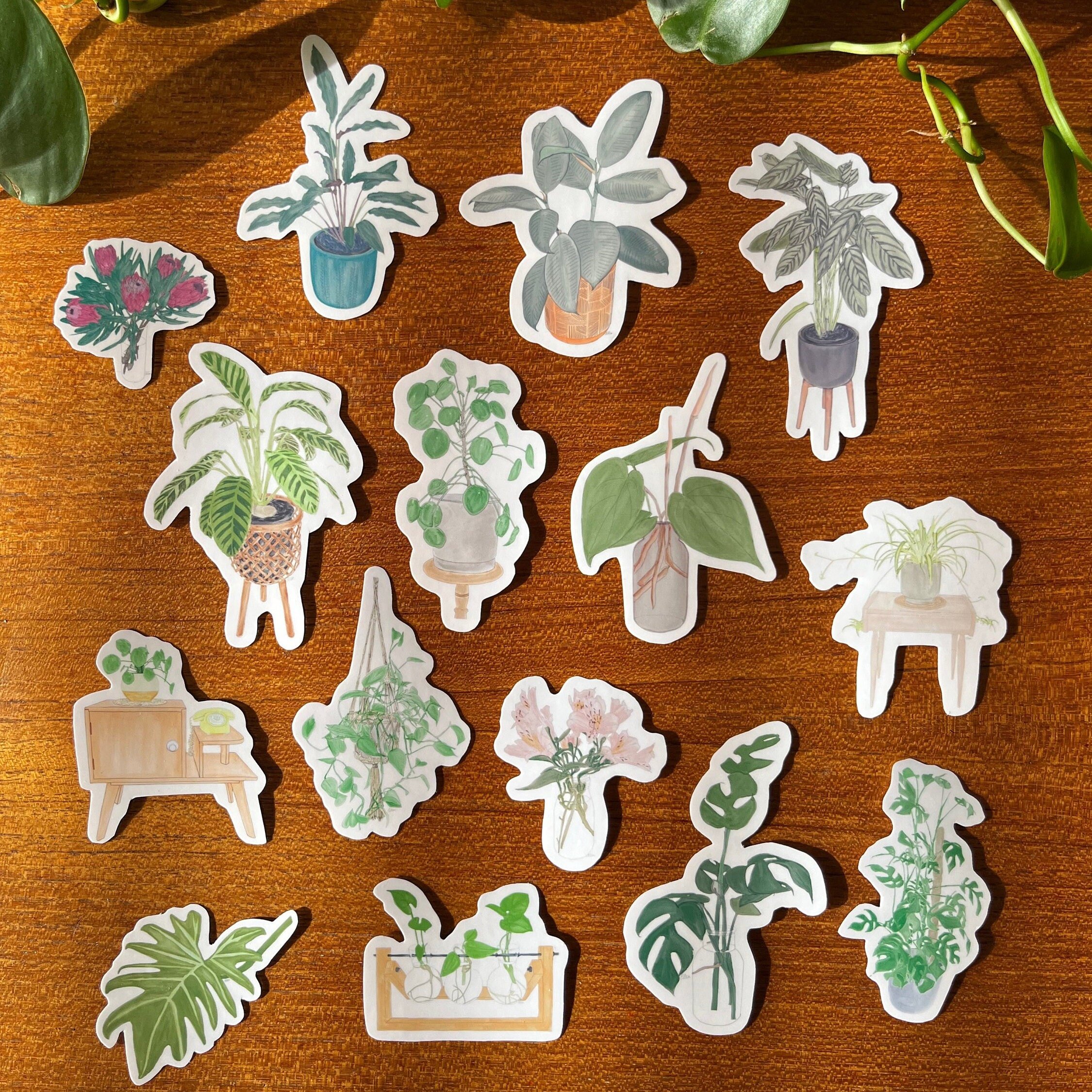 https://i.etsystatic.com/24655146/r/il/84f20f/5185272535/il_fullxfull.5185272535_2mlv.jpg