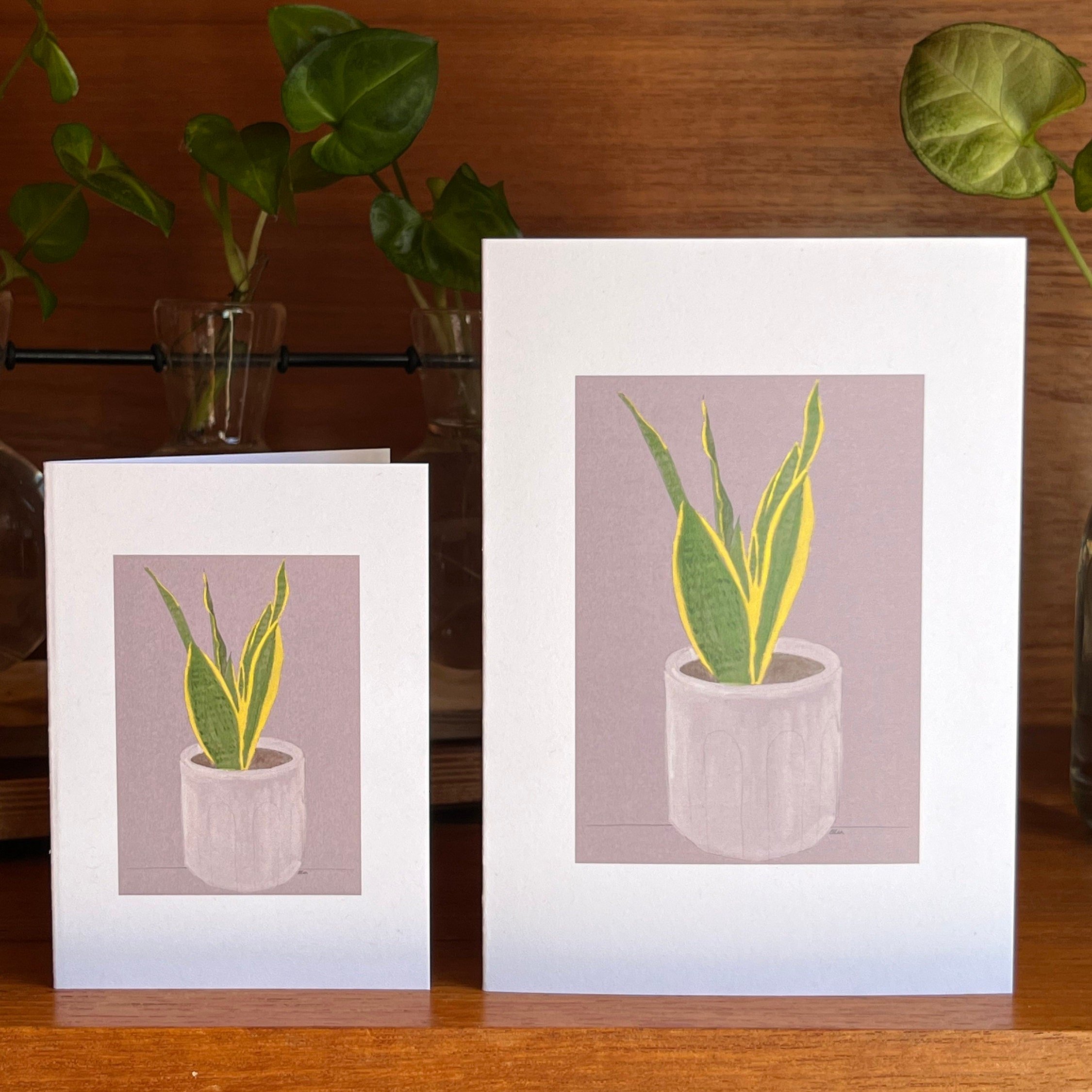 https://i.etsystatic.com/24655146/r/il/331e2e/5137122800/il_fullxfull.5137122800_m0sh.jpg