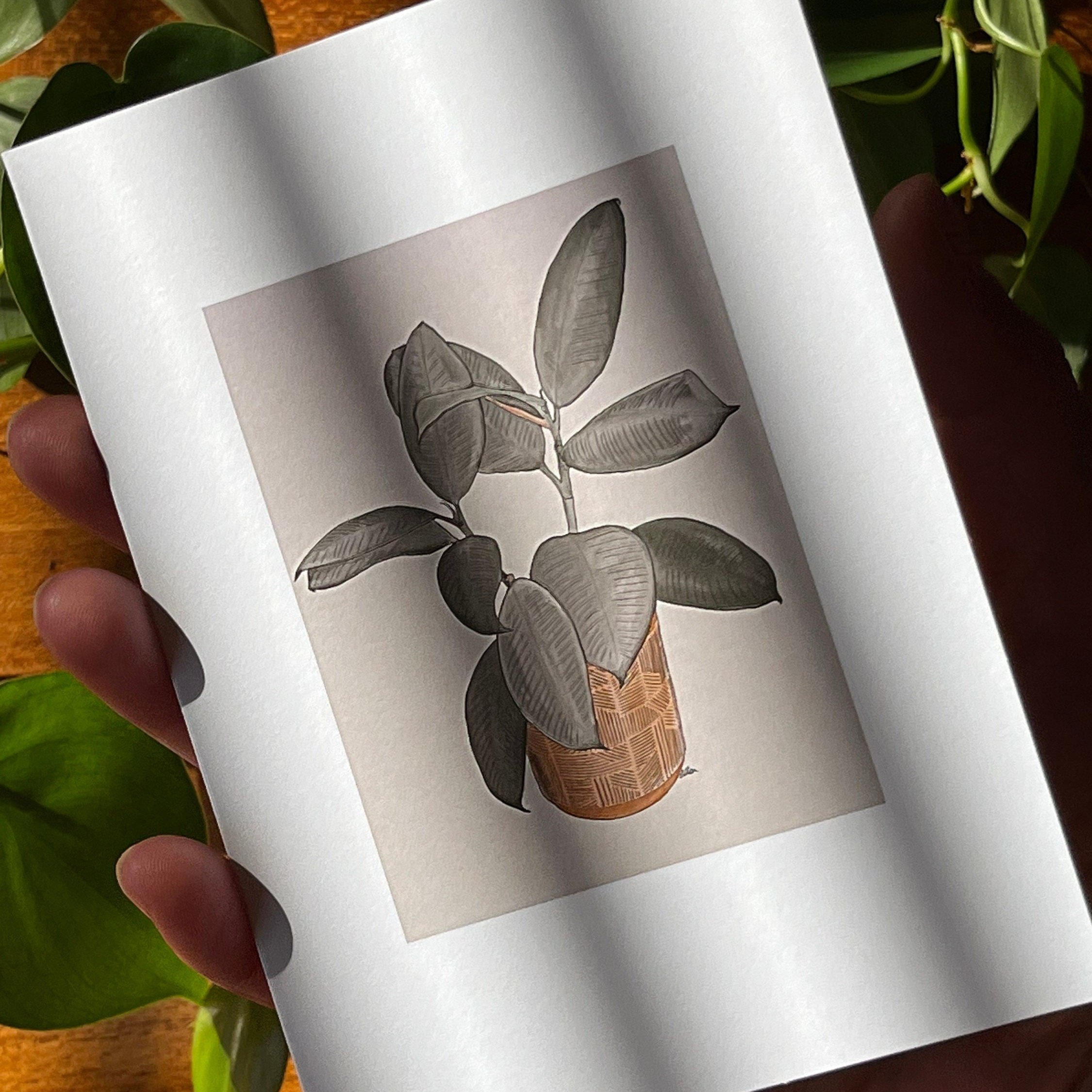 https://i.etsystatic.com/24655146/r/il/b62181/5137142654/il_fullxfull.5137142654_ggn4.jpg