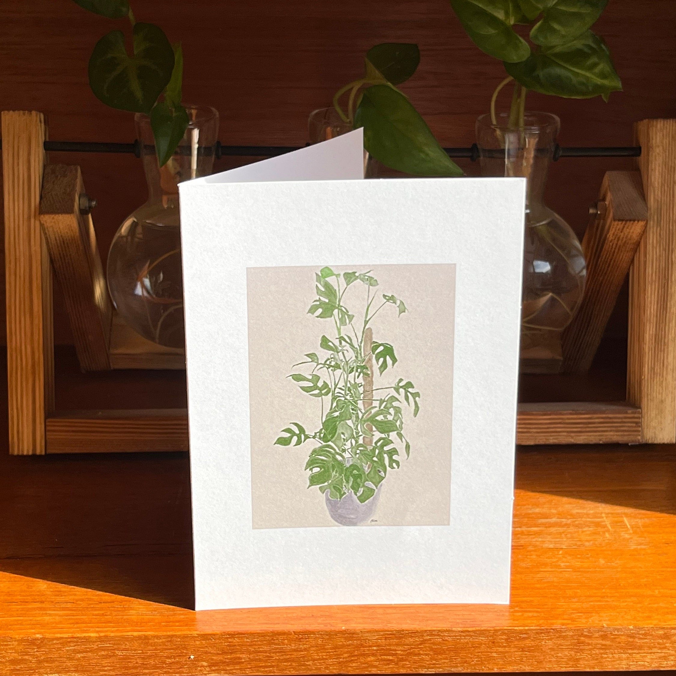 https://i.etsystatic.com/24655146/r/il/dfa08f/5185364749/il_fullxfull.5185364749_atwk.jpg