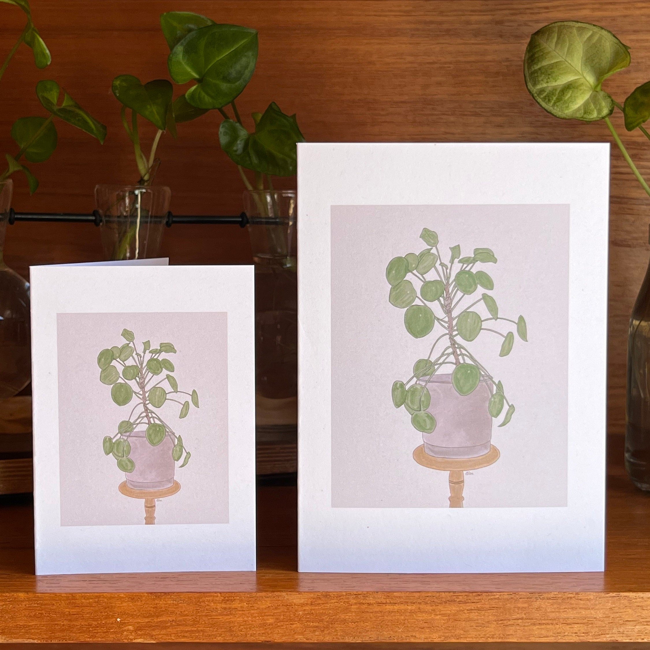 https://i.etsystatic.com/24655146/r/il/51284d/5185369297/il_fullxfull.5185369297_p2k1.jpg