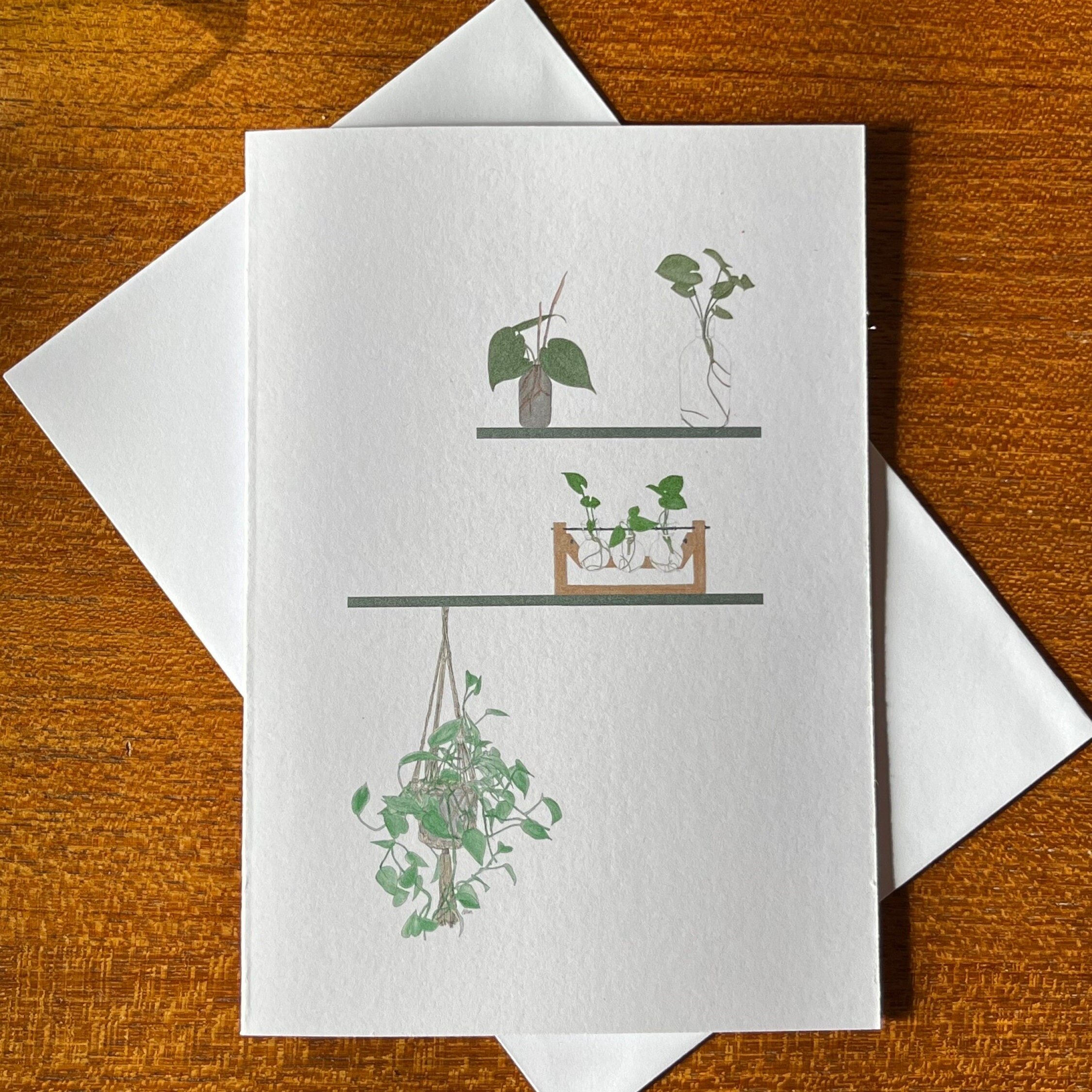 https://i.etsystatic.com/24655146/r/il/efcd4f/5185376163/il_fullxfull.5185376163_hkec.jpg