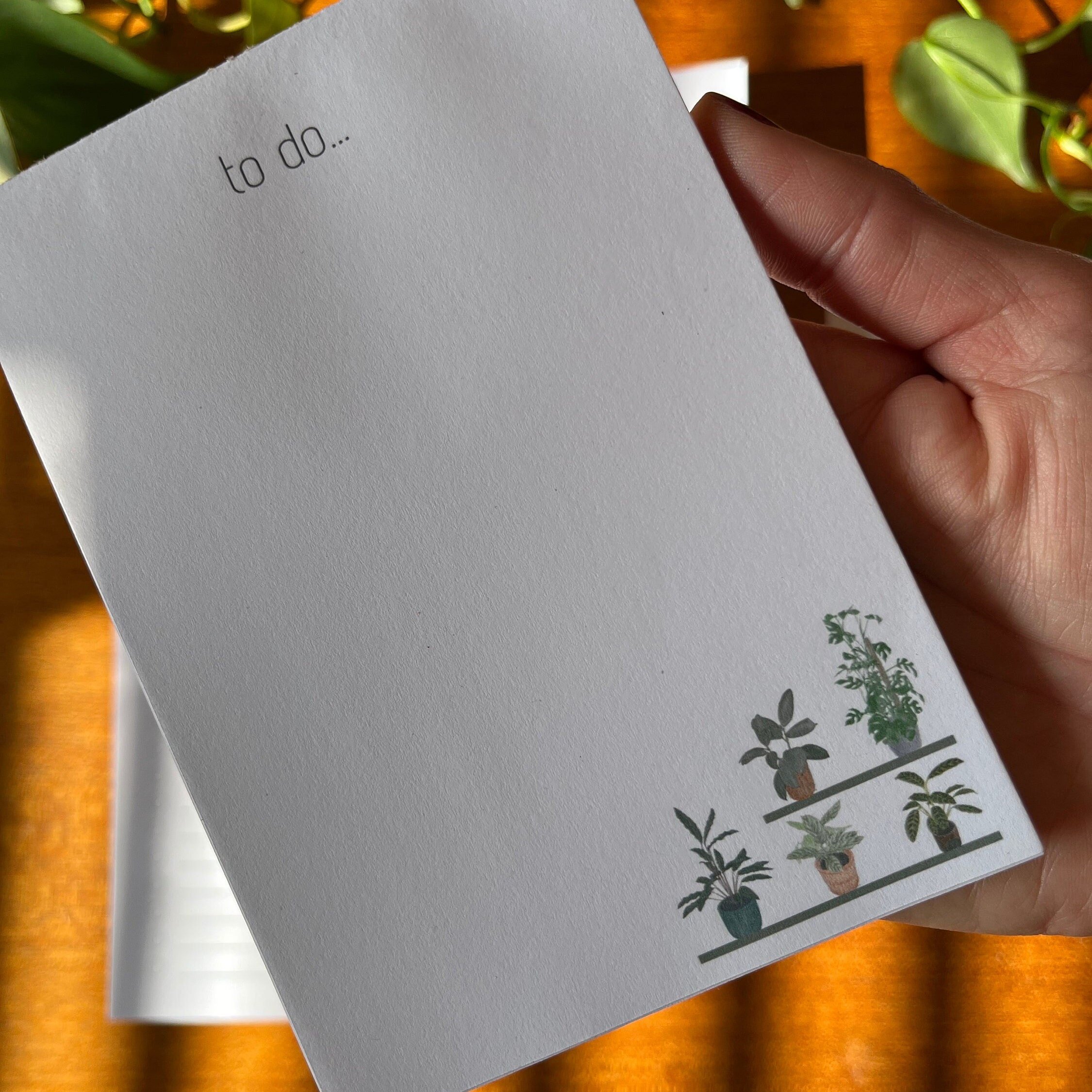 https://i.etsystatic.com/24655146/r/il/49c5df/5185250885/il_fullxfull.5185250885_5mgw.jpg