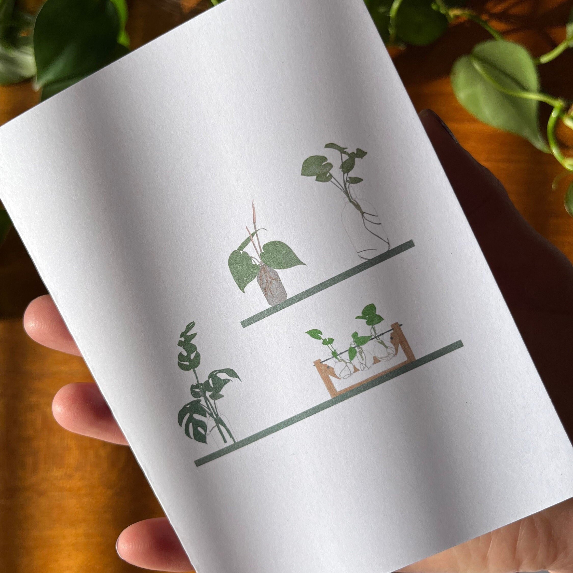 https://i.etsystatic.com/24655146/r/il/ca4f5e/5185251661/il_fullxfull.5185251661_ogxa.jpg