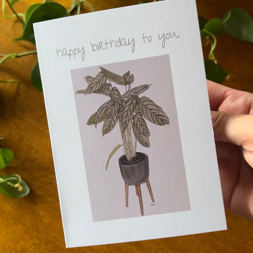 https://i.etsystatic.com/24655146/r/il/71378d/5136907816/il_fullxfull.5136907816_ymv6.jpg