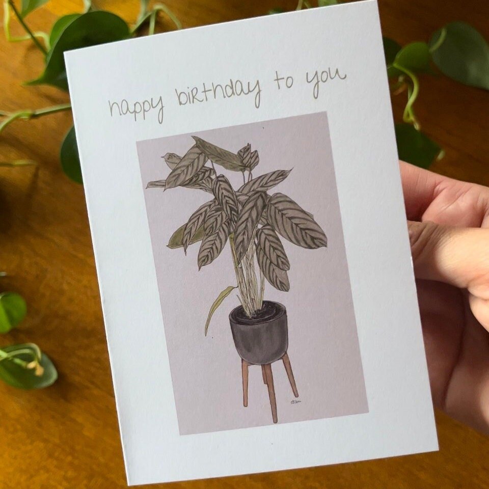 https://i.etsystatic.com/24655146/r/il/c3ba79/5136911156/il_fullxfull.5136911156_2vjn.jpg