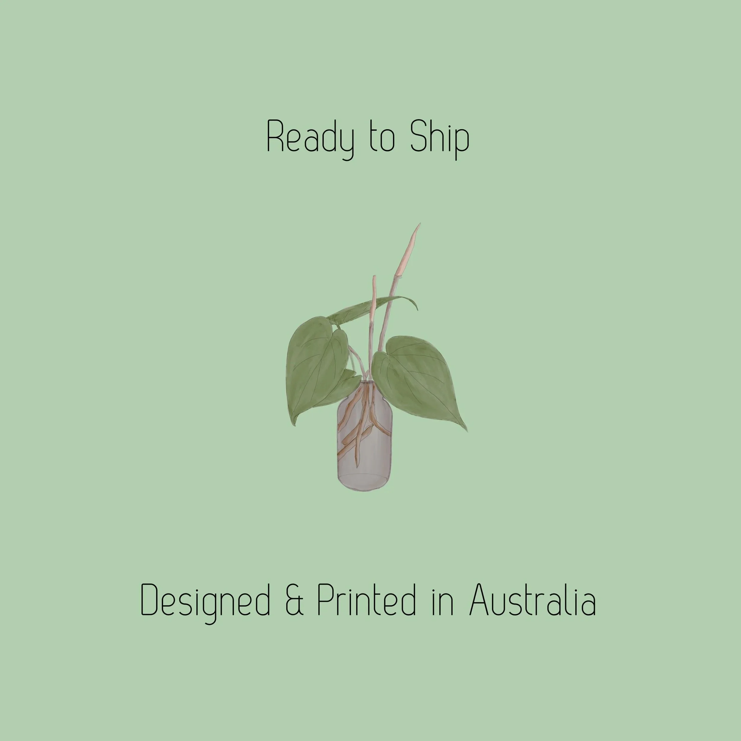Ready%2Bto%2BShip.jpg
