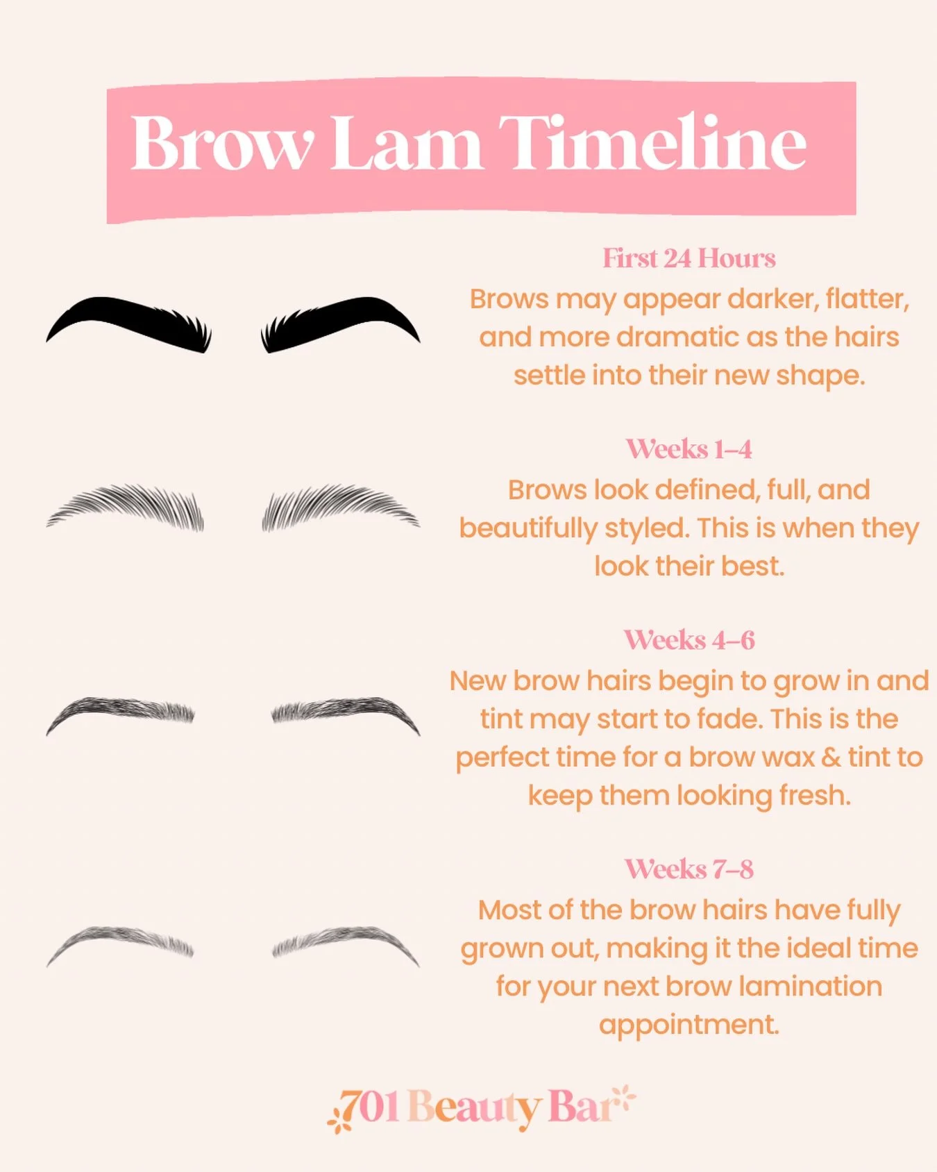 ✨ What to expect after a brow lamination

Brows go through a natural timeline after your appointment, and understanding the process helps keep them looking their best.

The first day they may appear darker and flatter as the hairs settle into place.
