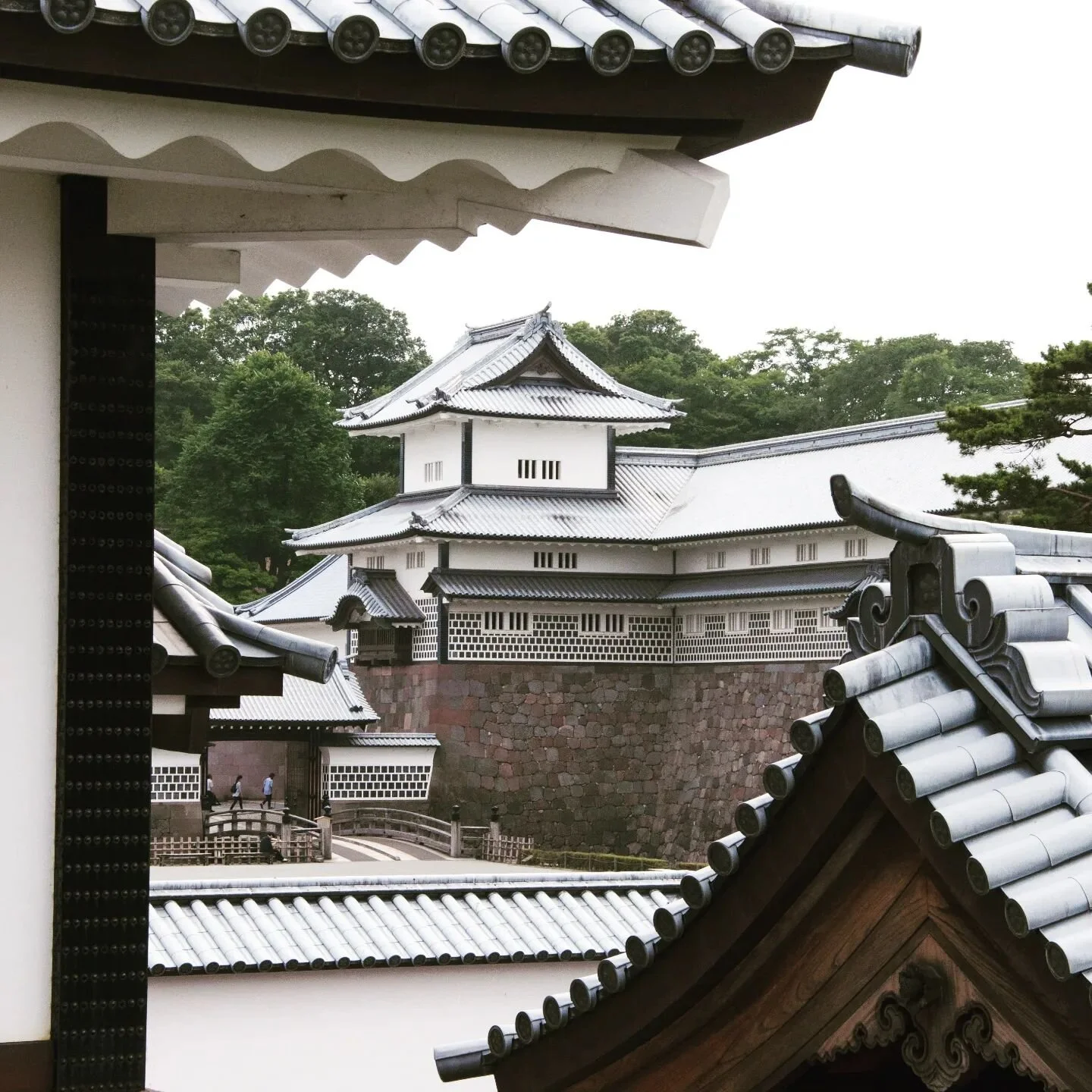 Kanazawa Castle - ein wundersch&ouml;nes Schloss und der Regen tr&auml;gt nur zu seiner verwunschenen Stimmung bei.

A beautiful castle and the rain just adds to the dreamy feeling of this place.

#kanazawa #japan #japantrip #nippon #nipponpic #kanaz