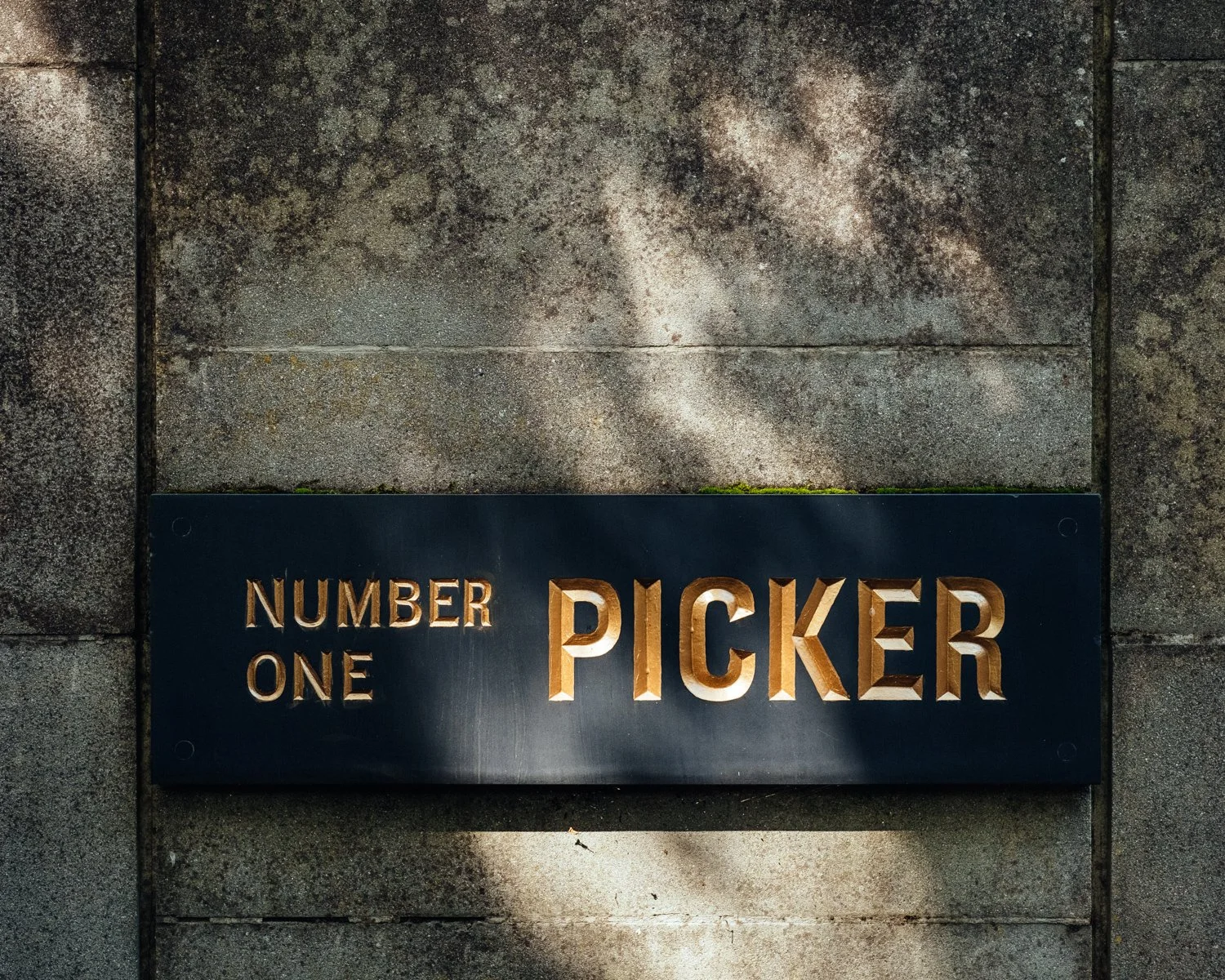 PickerAug23-JimStephenson-3 WebRes.jpg