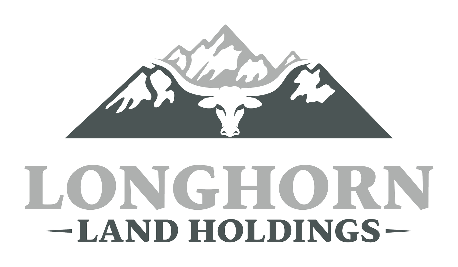 Longhorn Land Holdings