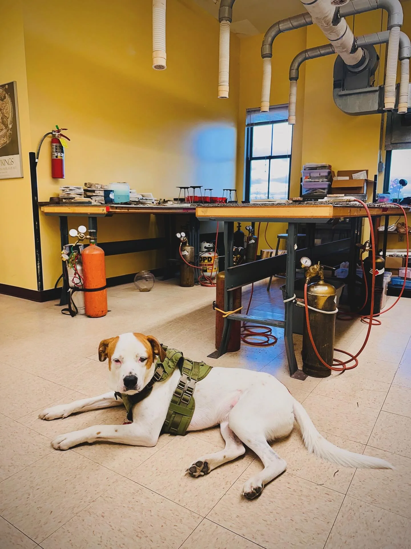 Prepping the jewelry studio at the @capregionartscenter ✨
Getting acquainted with the space, cleaning cabinets, and exploring all the little details that make this place hum with creativity. Grateful to step into this next chapter of teaching jewelry