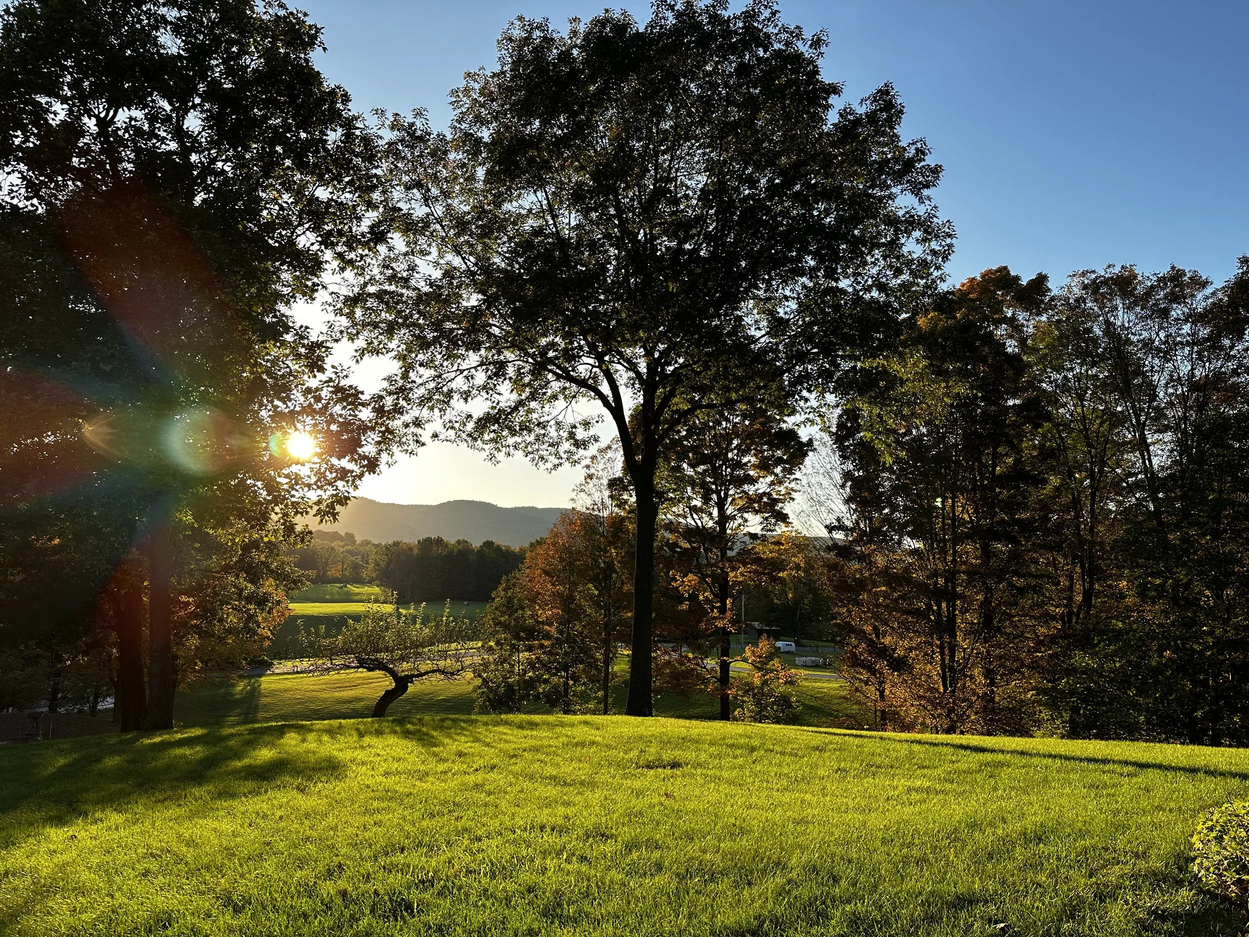 Living &amp; Learning