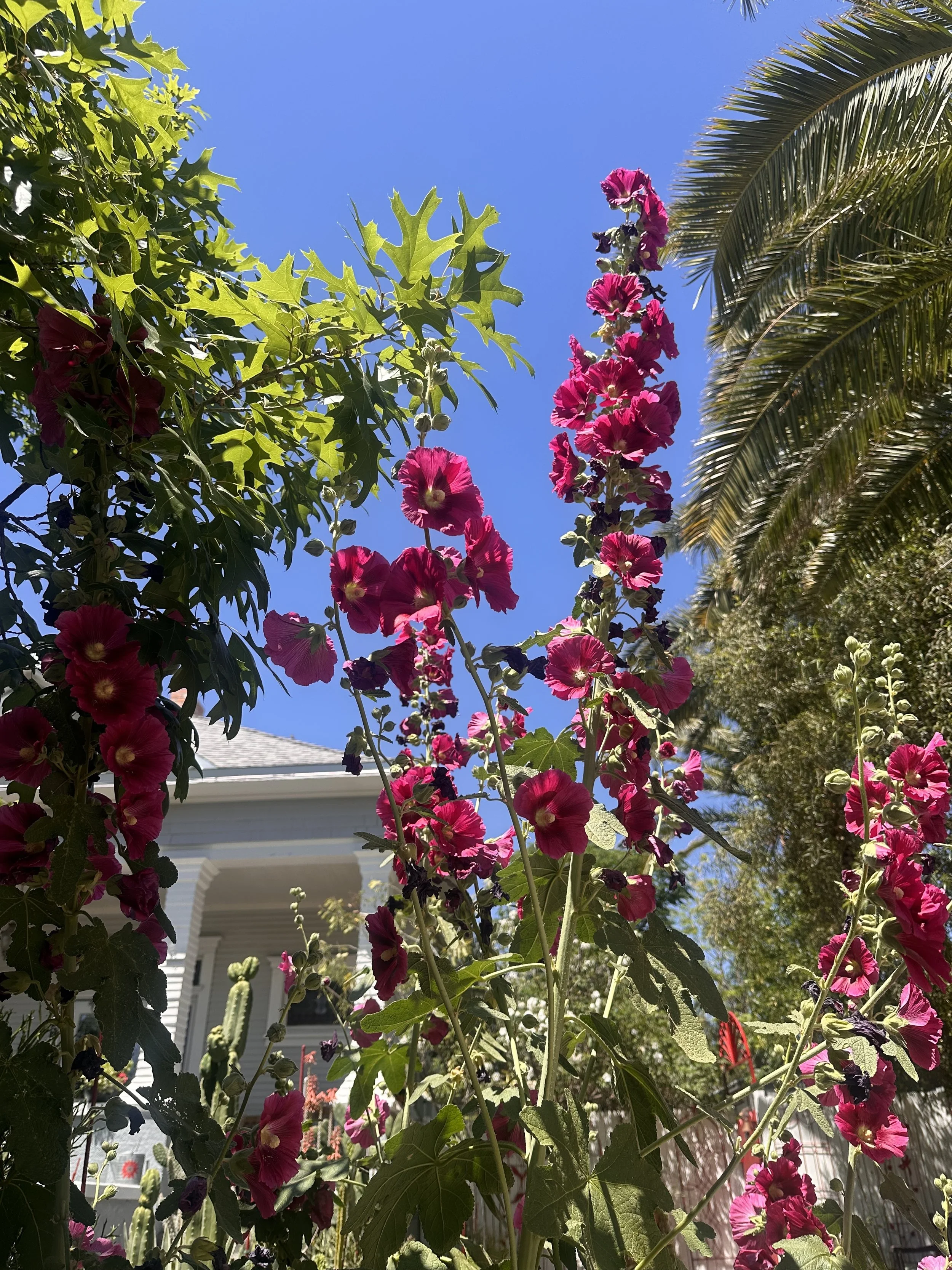 The Year I Didn’t Come Back the Same