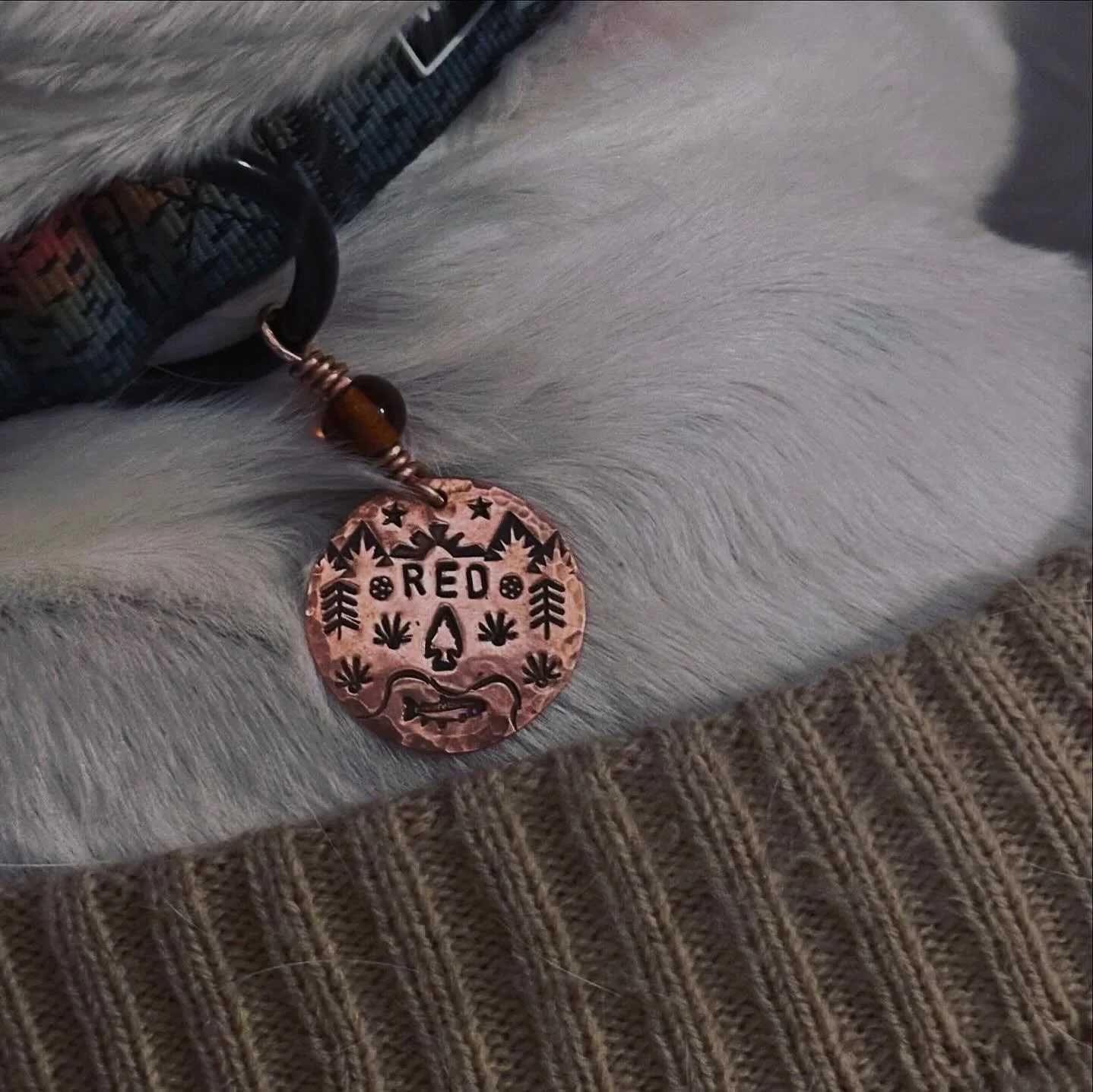 Red&rsquo;s tag tells his story ❤️✨

He&rsquo;s named after the place we found him. Red River, NM. Wet, tired, dirty&hellip; it honestly looked like he had just crossed the river to find us.

I wanted his tag to carry that journey. The trees, the mou