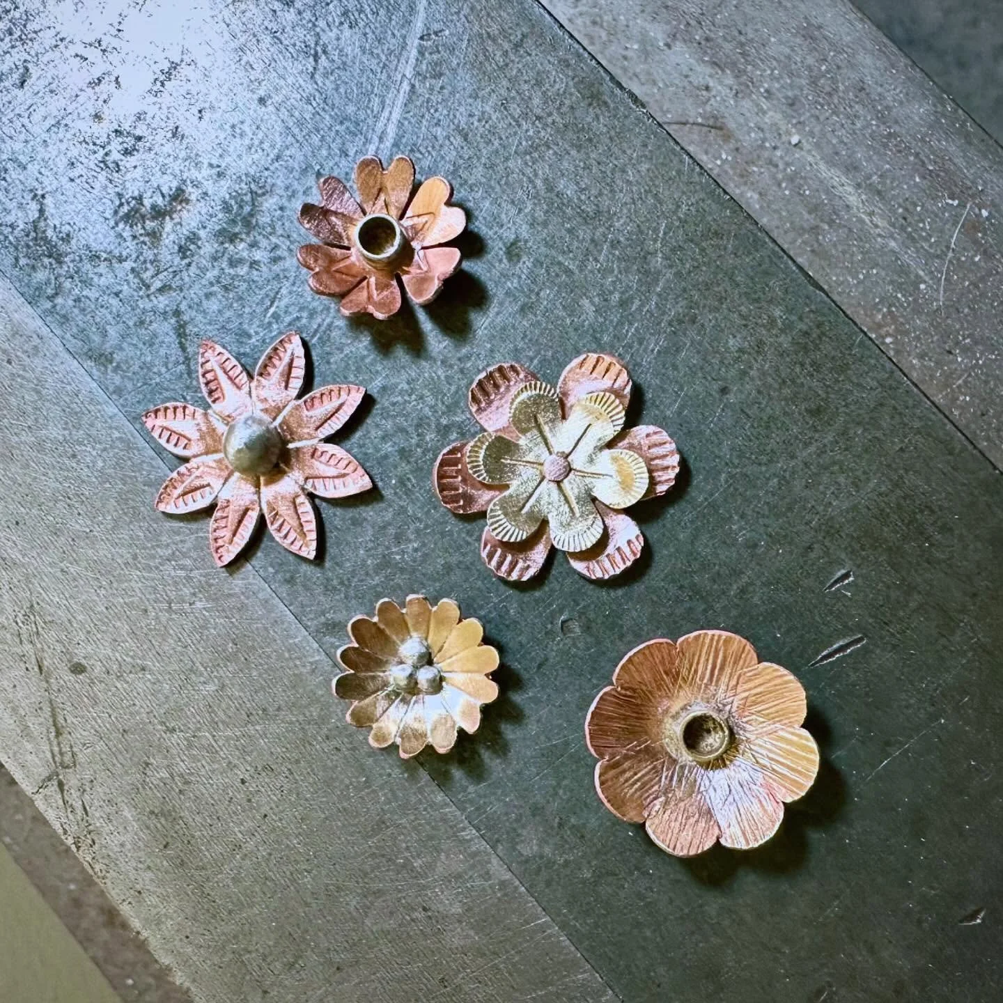 My very first 4-week Nature Fabrication Intensive begins March 10 &amp; I could not be more excited. ☺️

For four weeks, we&rsquo;re stepping into the wild heart of metalwork:

Week 1: Flowers 🌸
Week 2: Leaves &amp; twigs 🍃
Week 3: Feathers 🪶
Week