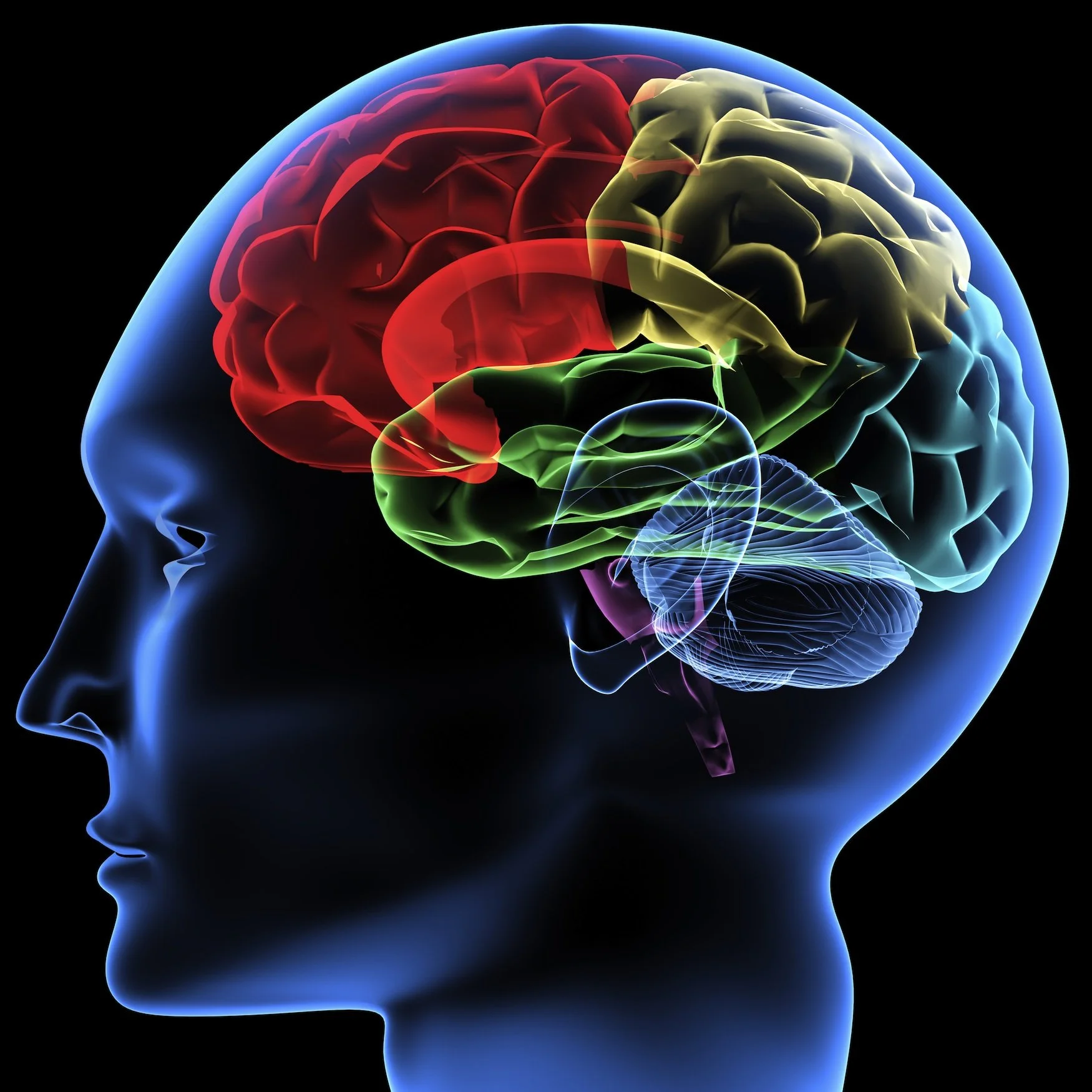 Neurodiversity