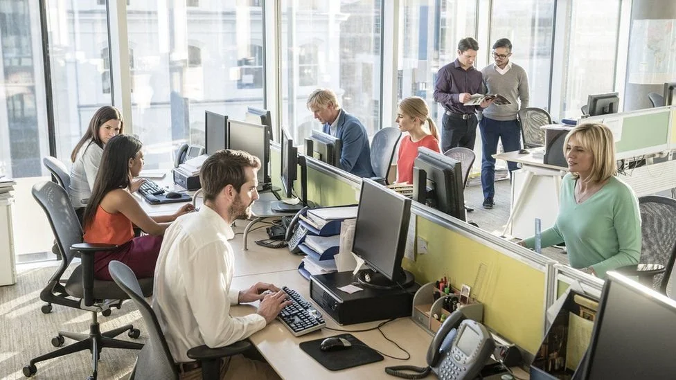 Workplace Needs Assessment