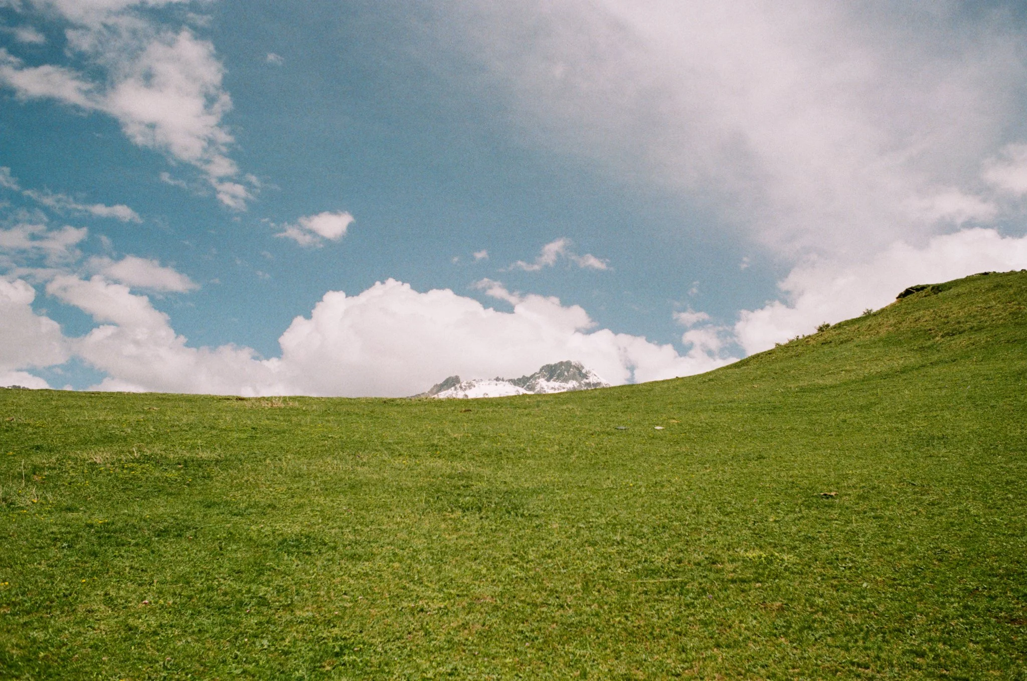 Georgia