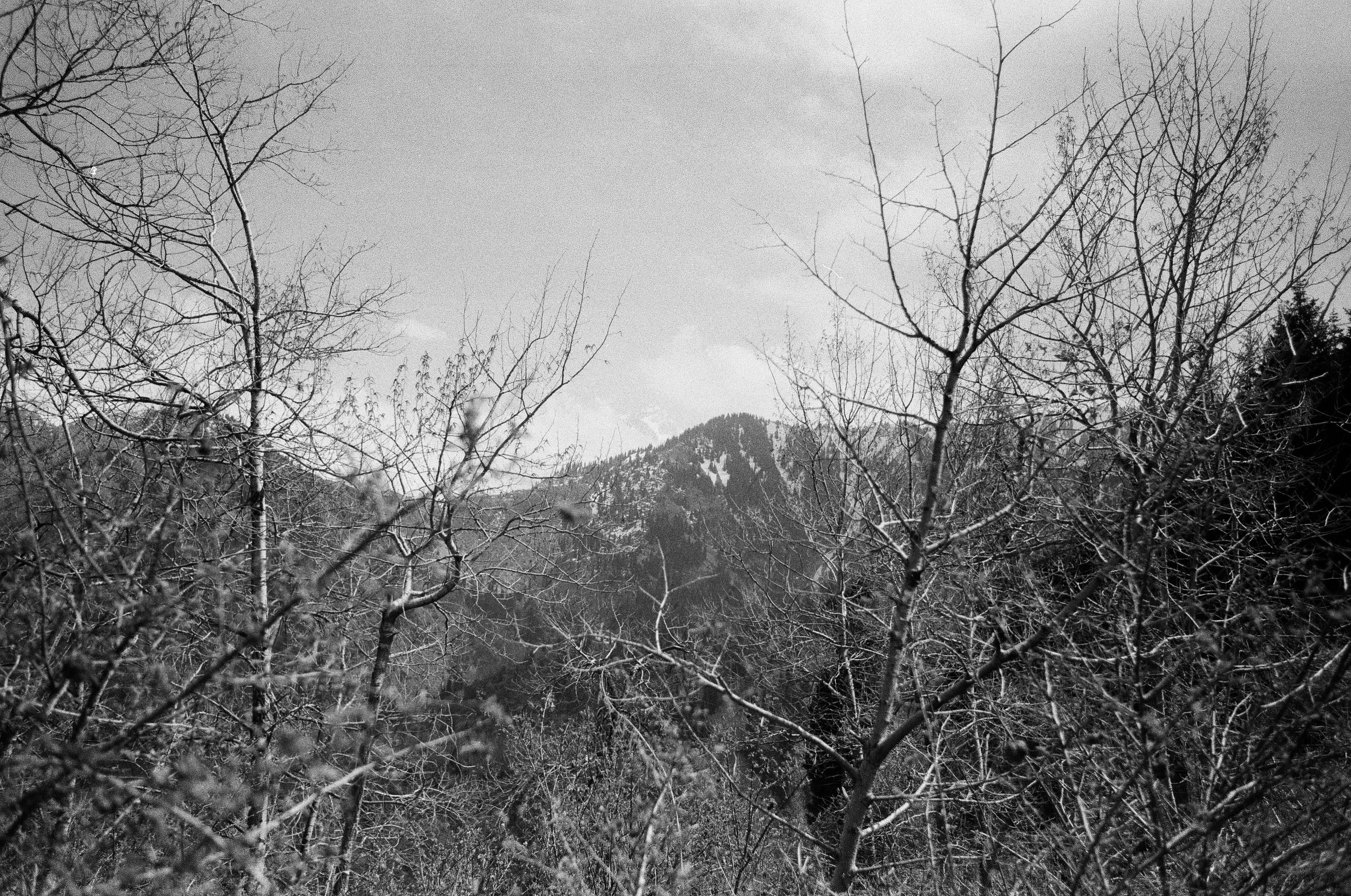 Kok Zhailau hike