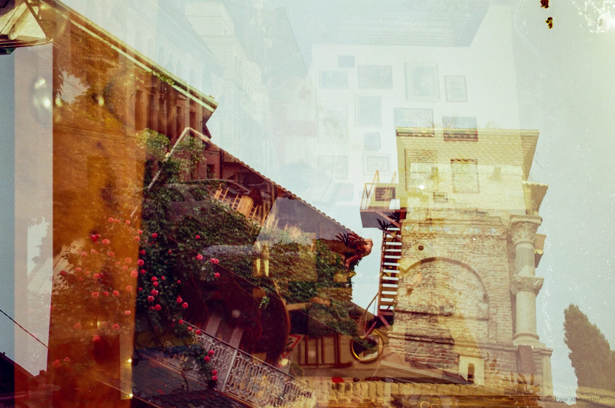 Untitled-111.jpg